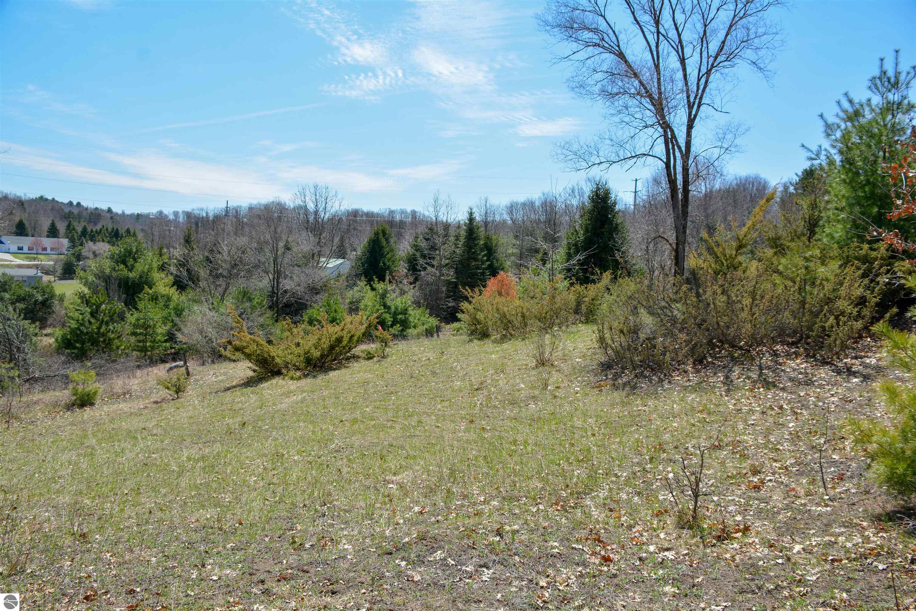 Traverse City, Michigan, 49696, United States, ,Land,For Sale,1850292