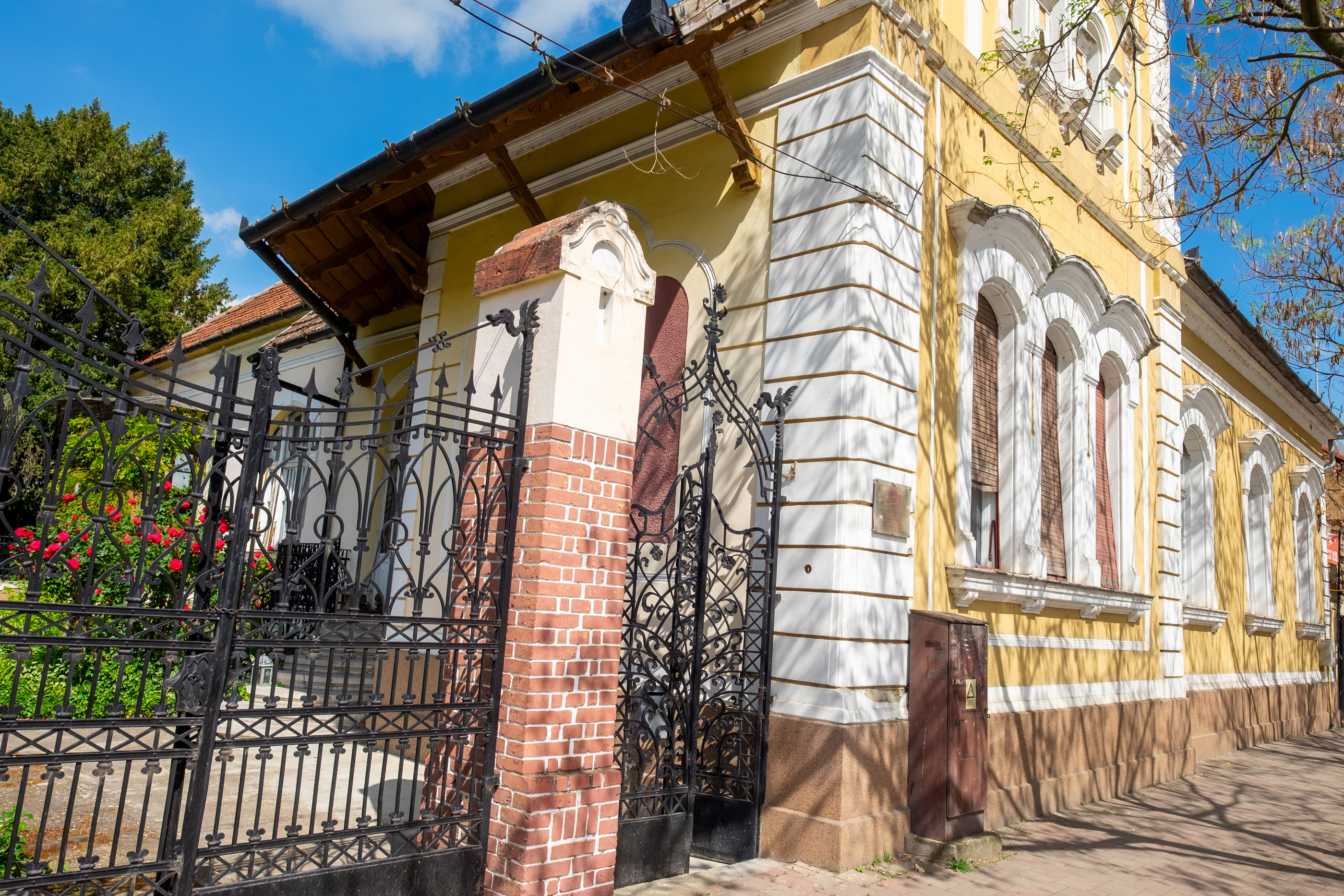  Ferch Manor - History and Tradition near Timioara - 物件實景