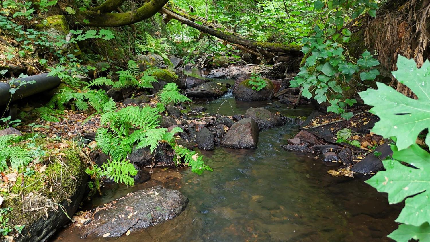 Nevada City, California, 95959, United States, 4 Bedrooms Bedrooms, ,2 BathroomsBathrooms,Residential,For Sale,1983992