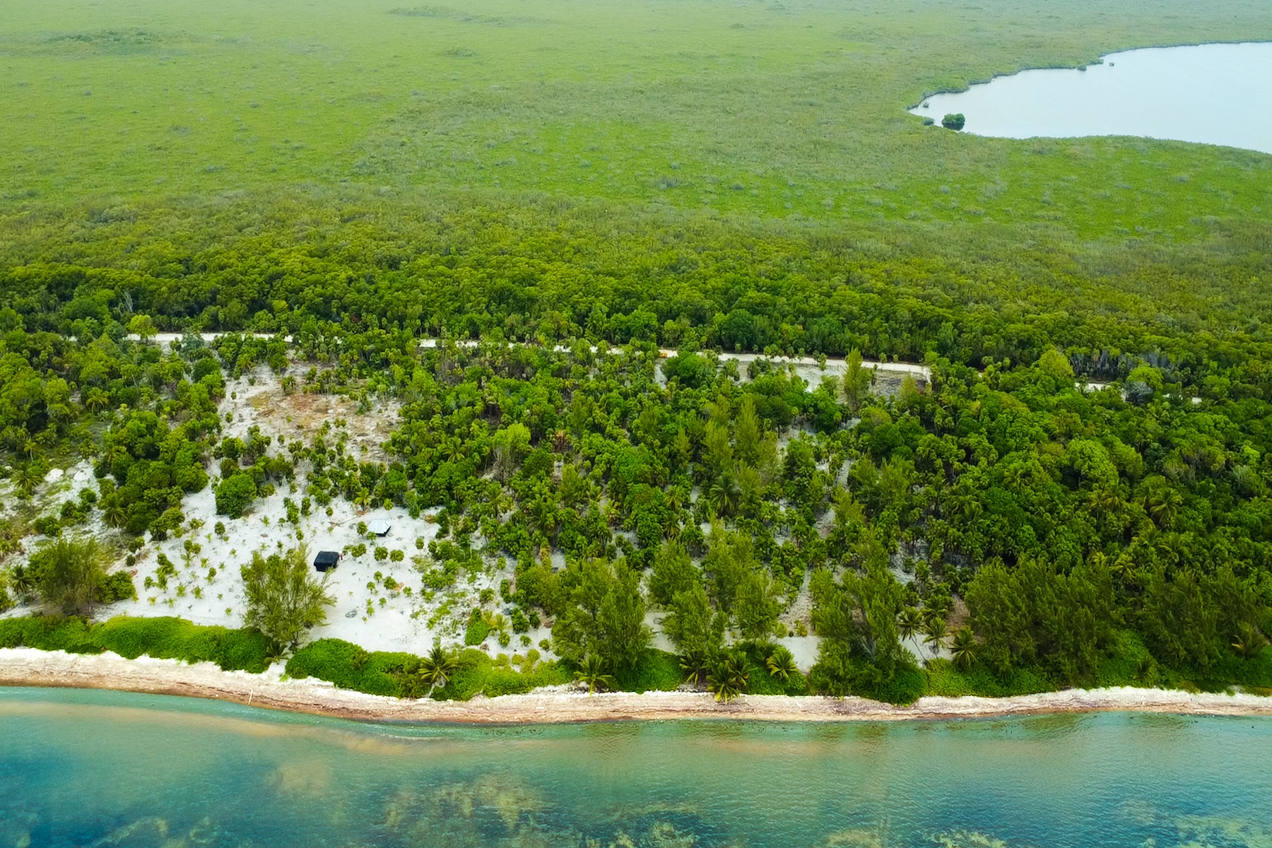  Viridiana Reserve: Beachfront Macro-lot in a Prime Location - 物件實景