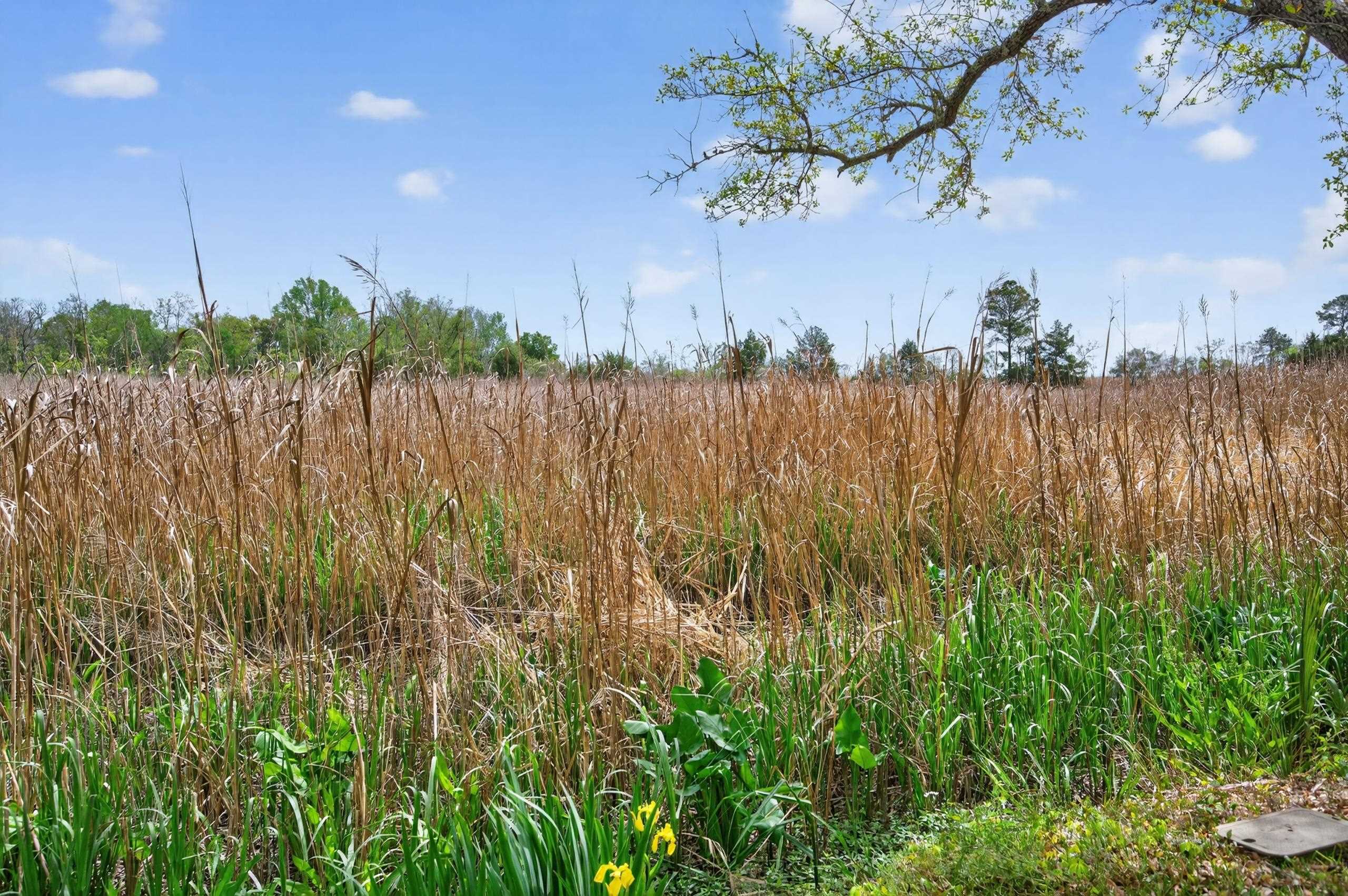  331 East Bay St. - 物件實景