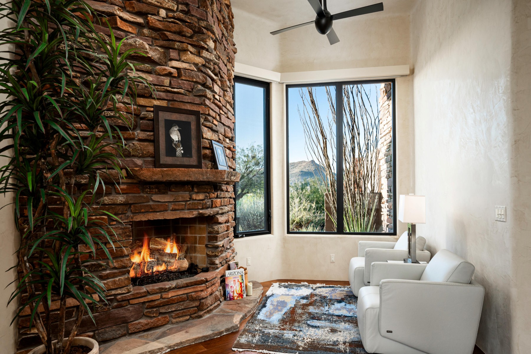  10047 E Scopa Trail¦Scottsdale, AZ - 物件實景