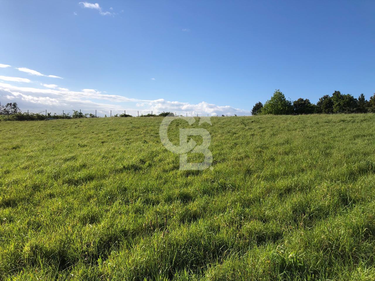 Puerto Varas, Chile, ,Residential,For Sale,1986545