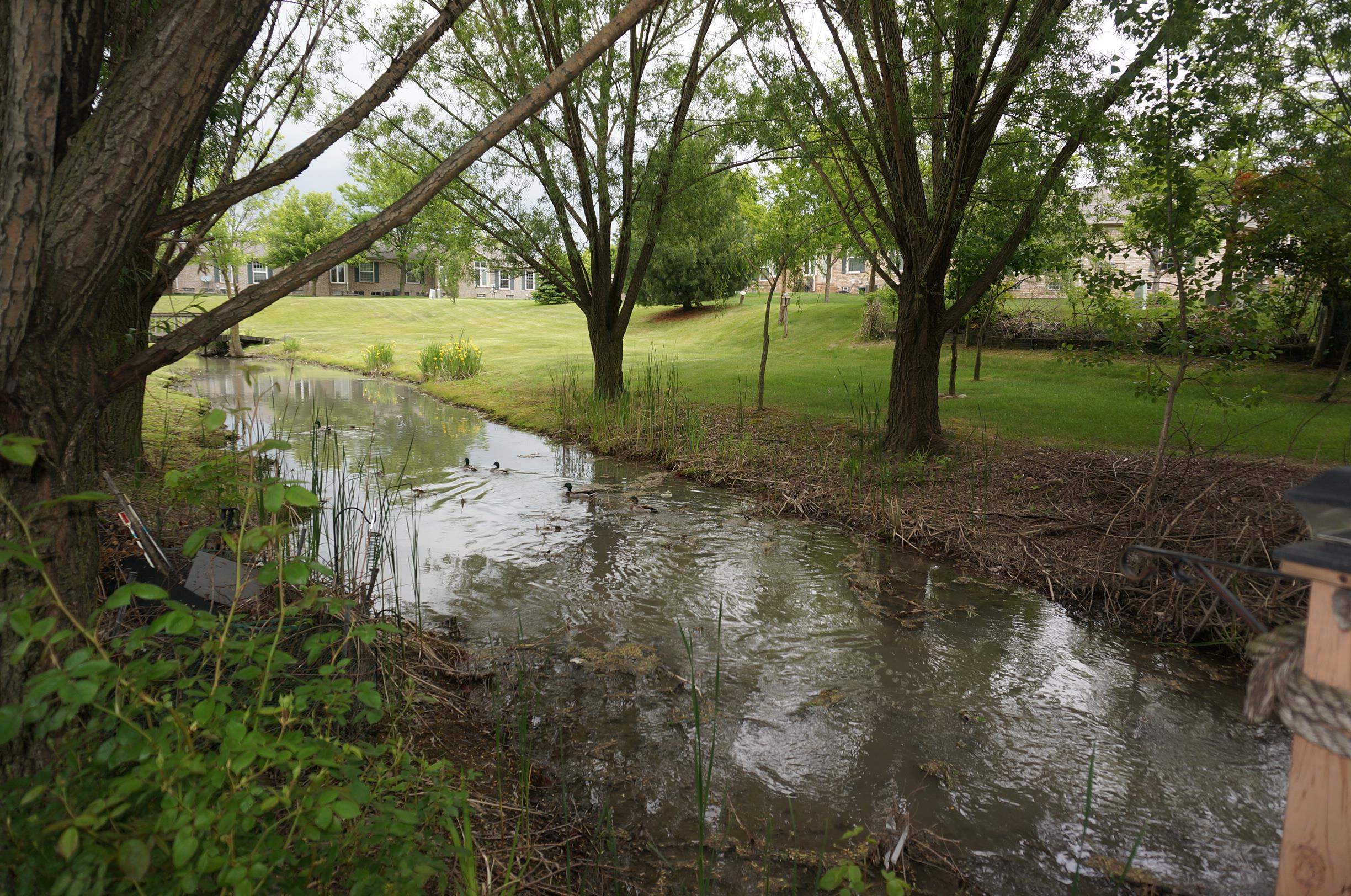 Macomb Twp, Michigan, 48044, United States, 4 Bedrooms Bedrooms, ,4 BathroomsBathrooms,Residential,For Sale,1942968