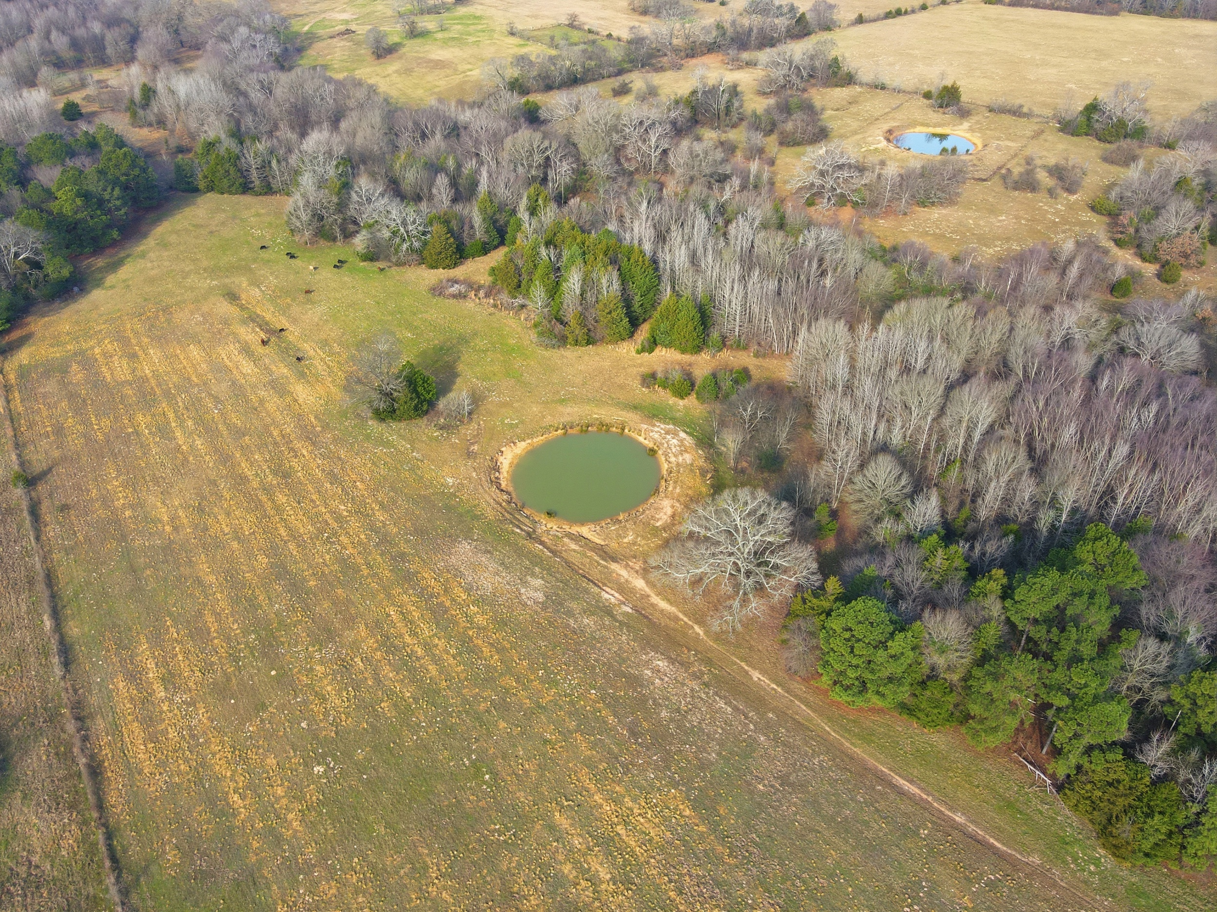 Quitman, Texas, 75783, United States, ,Land,For Sale,2013109