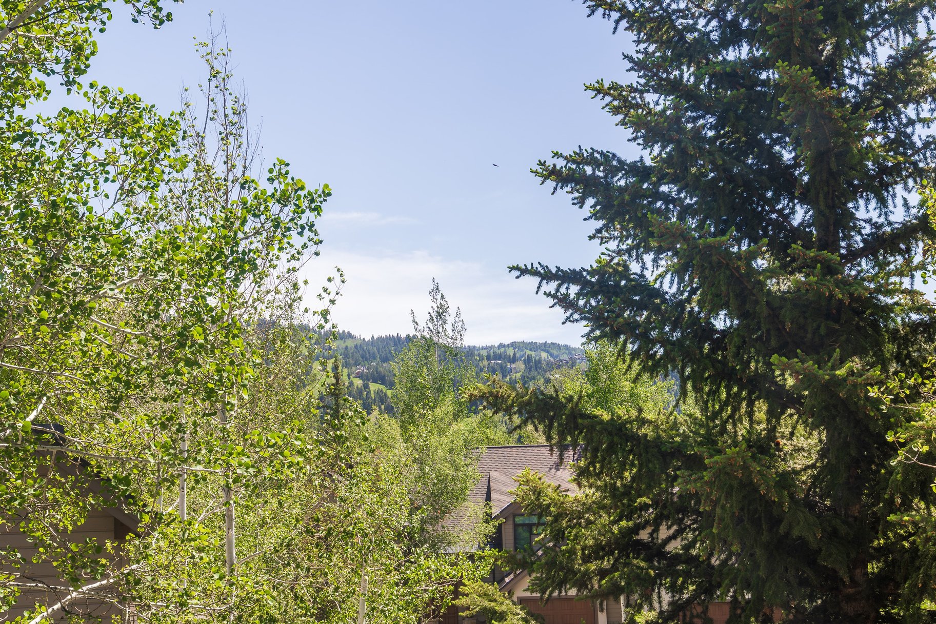  Tranquility Meets Convenience in Deer Valley - 物件實景