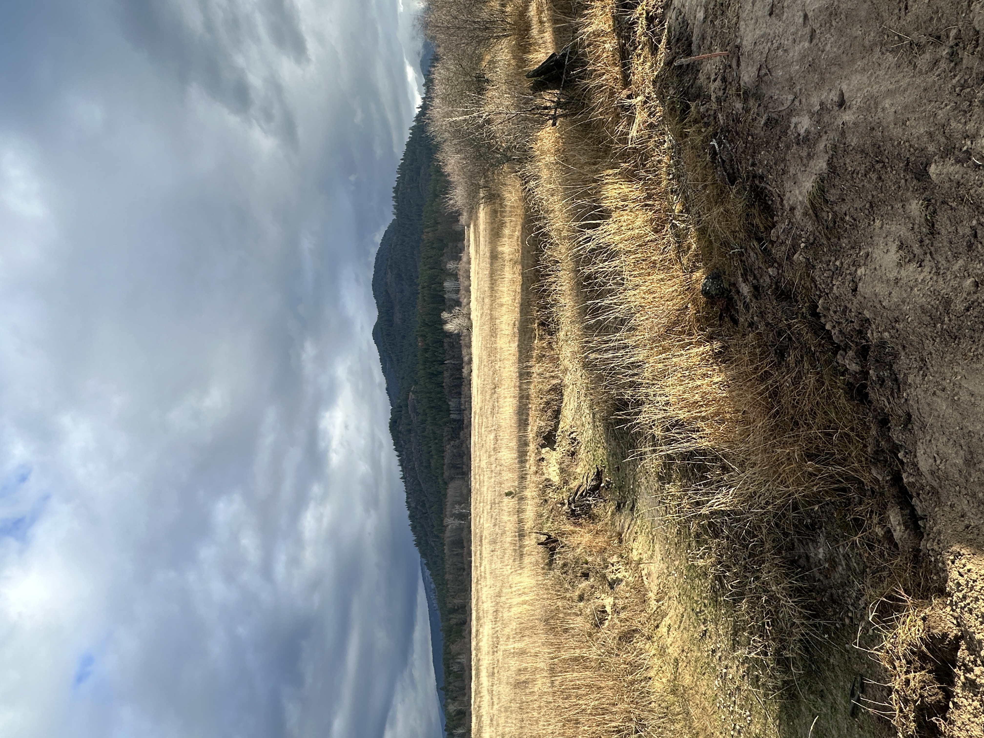 Priest River, Idaho, 83856, United States, ,Land,For Sale,2006127