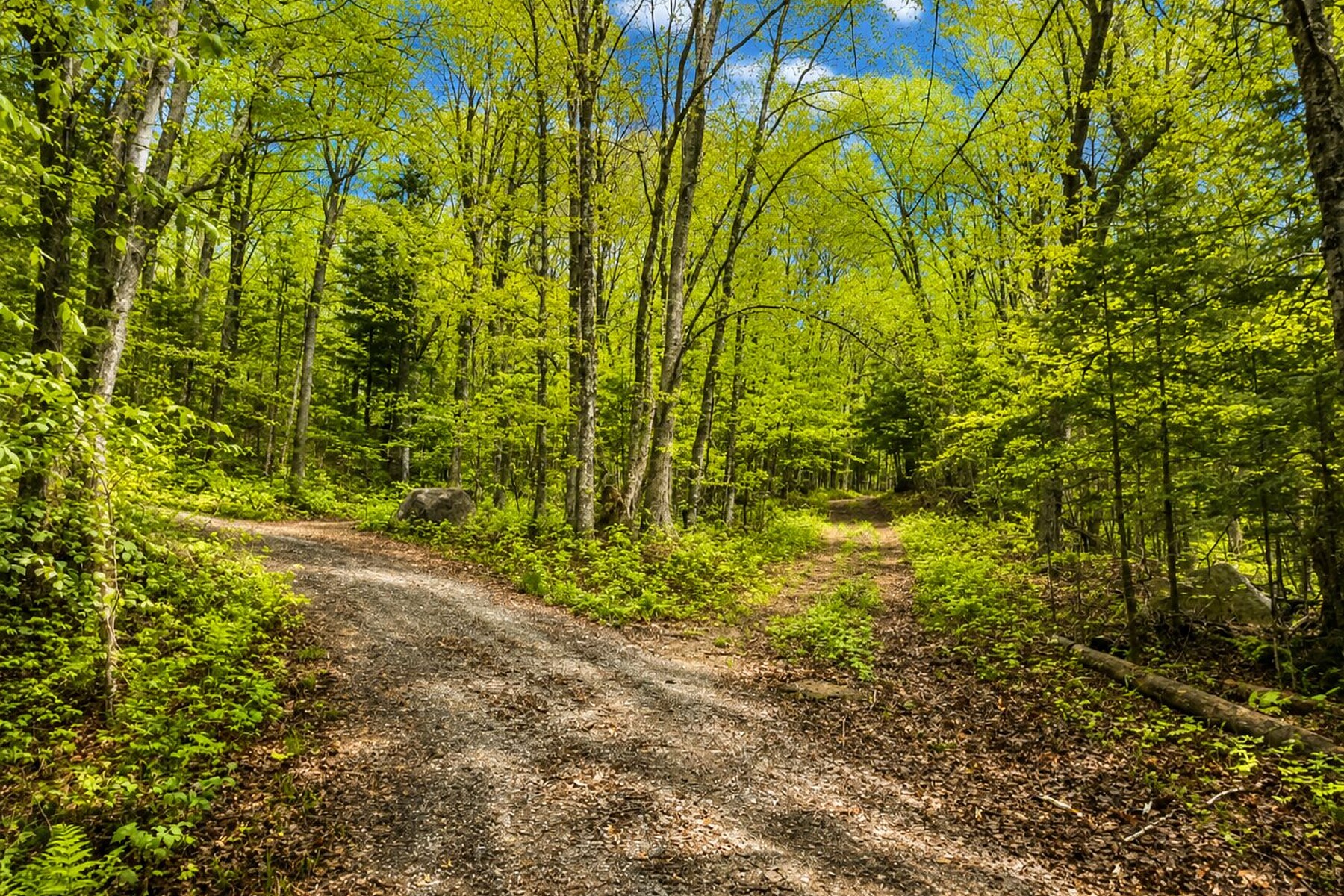  Lac-des-Plages, Outaouais - 物件實景