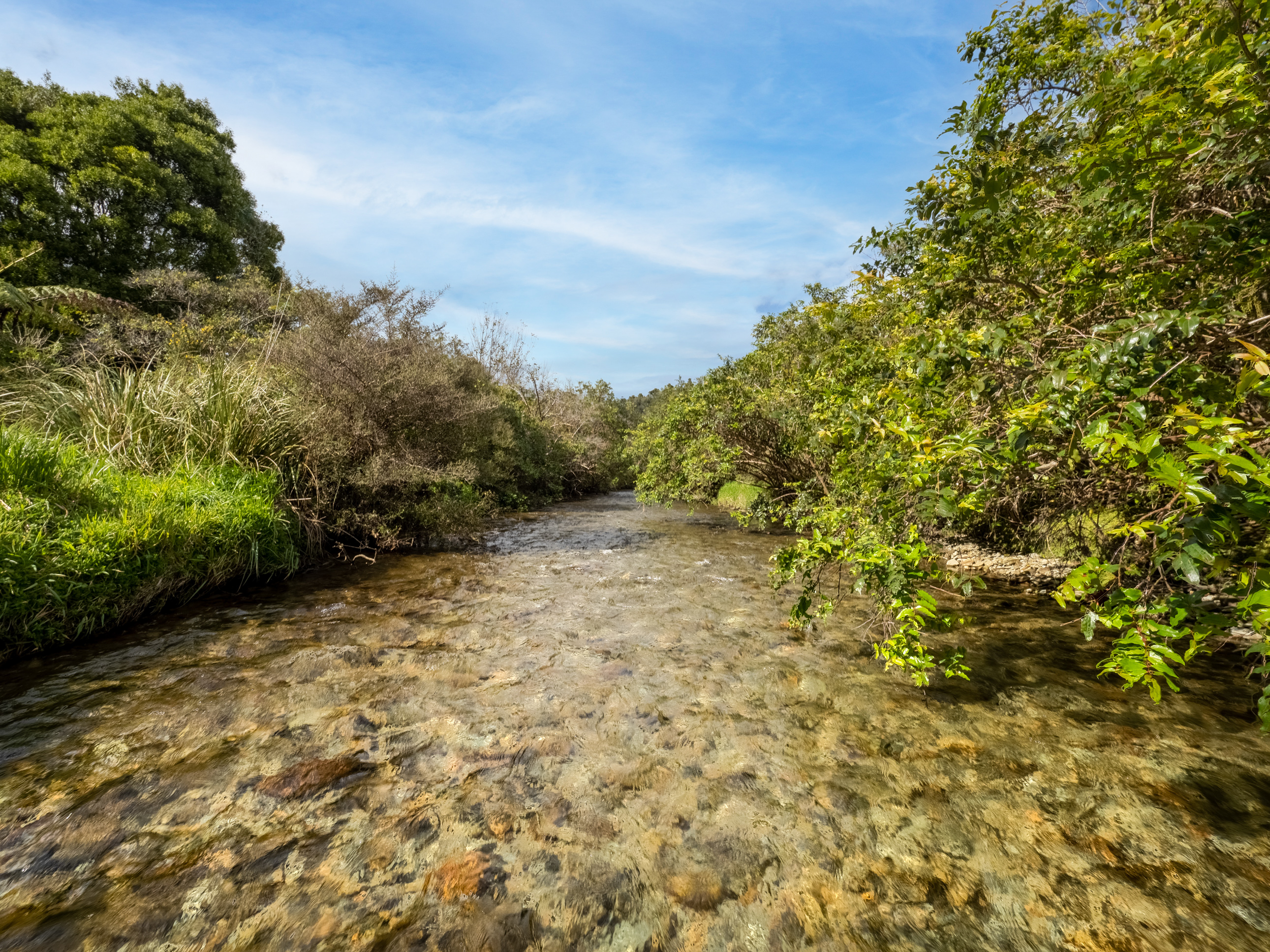  Ultimate West Coast Escape - 物件實景