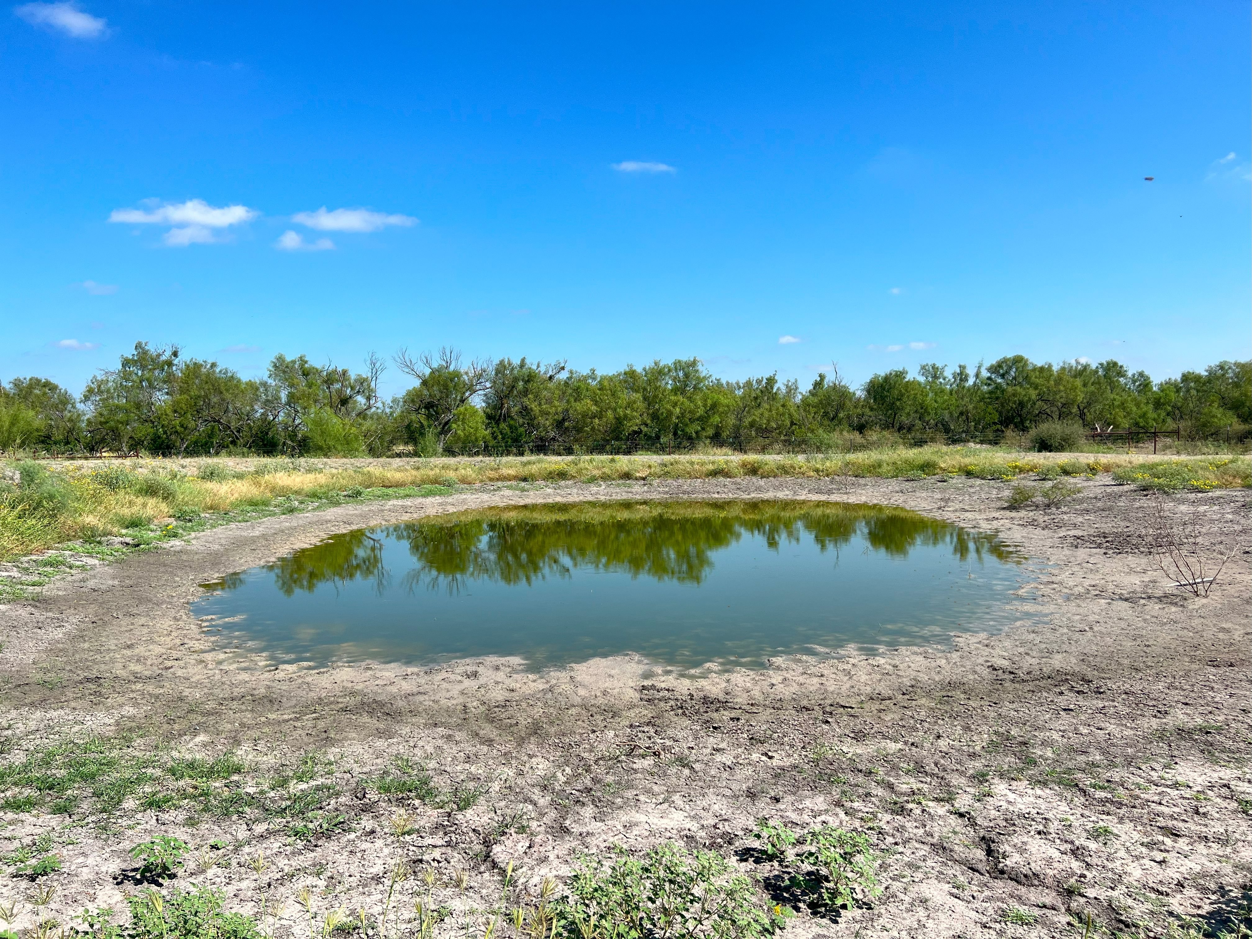  375+/- La Pryor Farm, Zavala County , La Pryor, TX 78872 - 物件實景