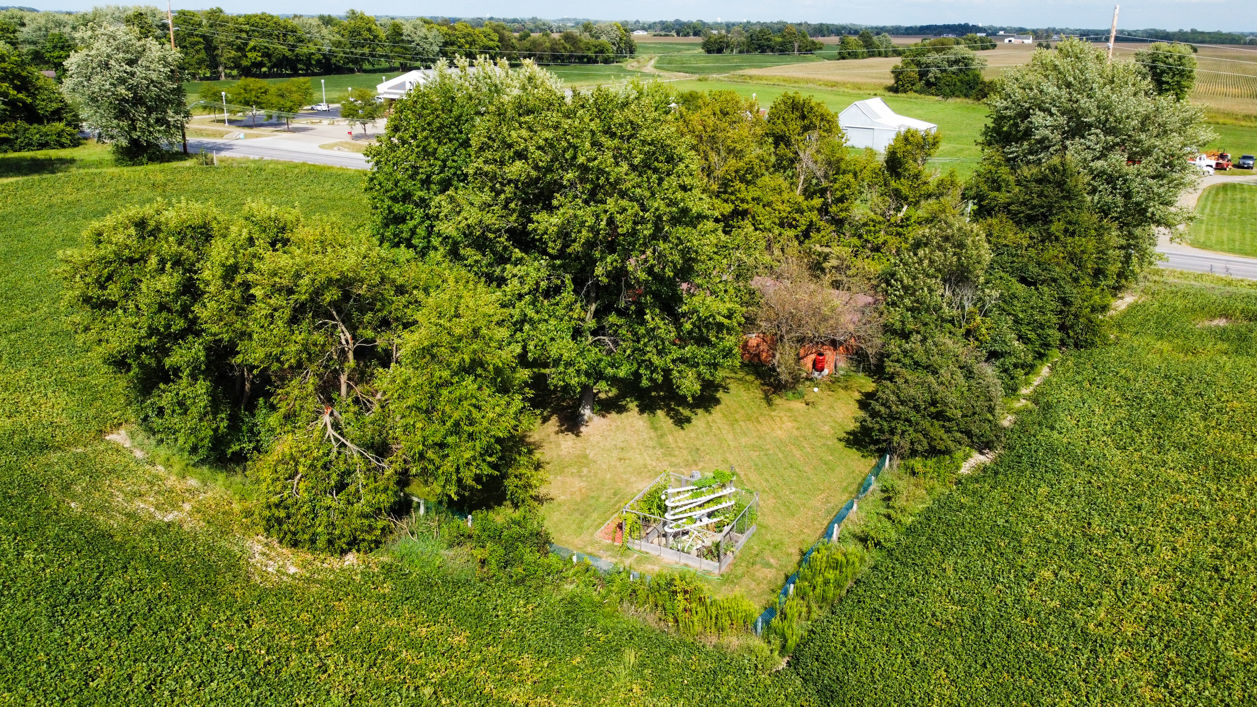 3910 N State Road 135, Franklin, Indiana, 46131, United States, 4 Bedrooms Bedrooms, ,2 BathroomsBathrooms,Residential,For Sale,3910 N State Road 135,1331543