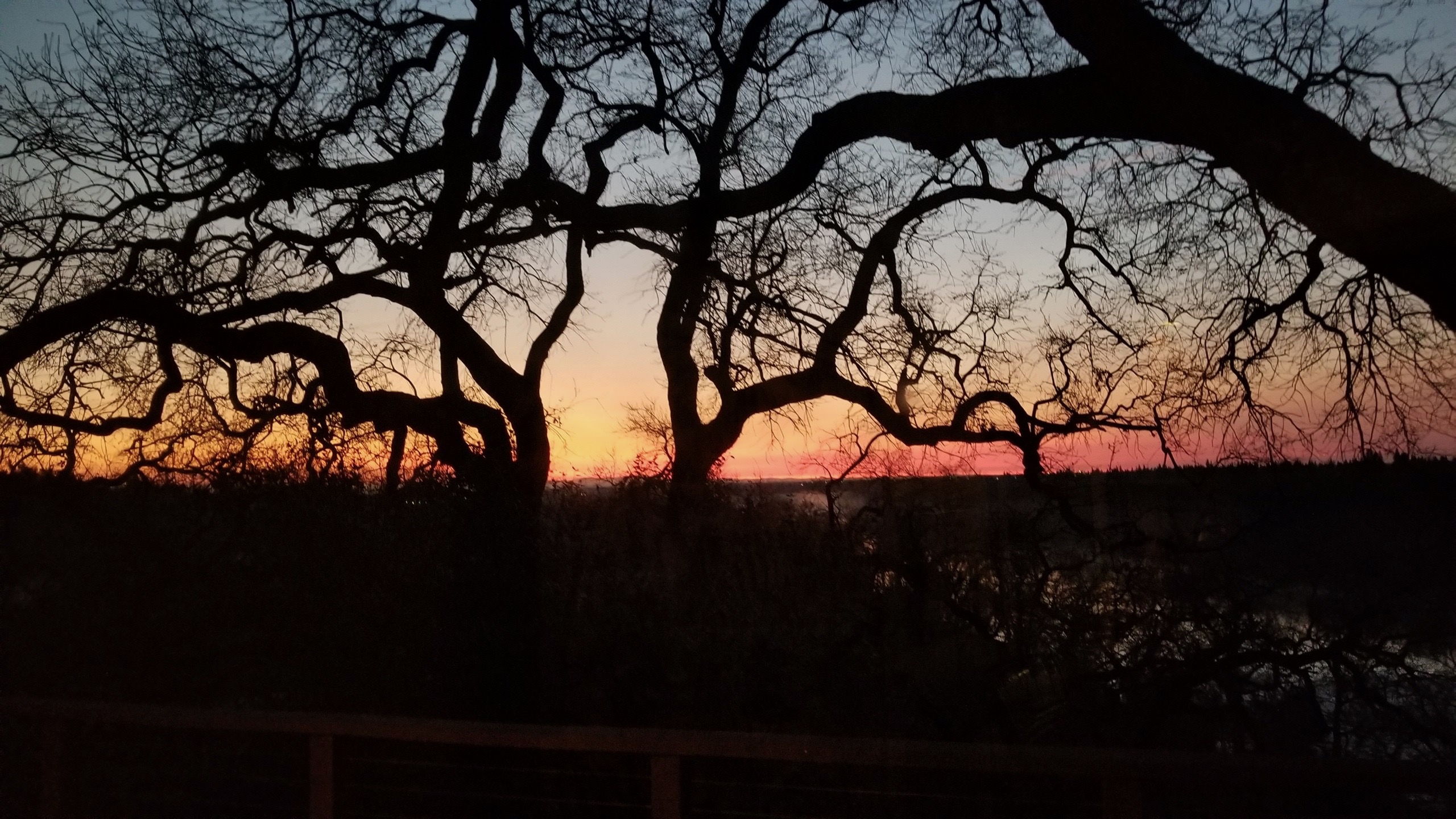  8218 Finisterre Court, Fair Oaks, CA 95628 - 物件實景