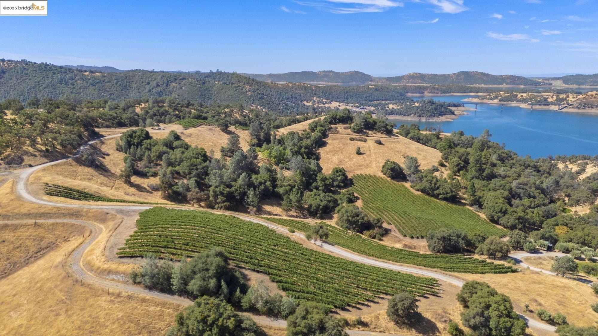 Murphys, California, 95247, United States, ,Land,For Sale,1975931