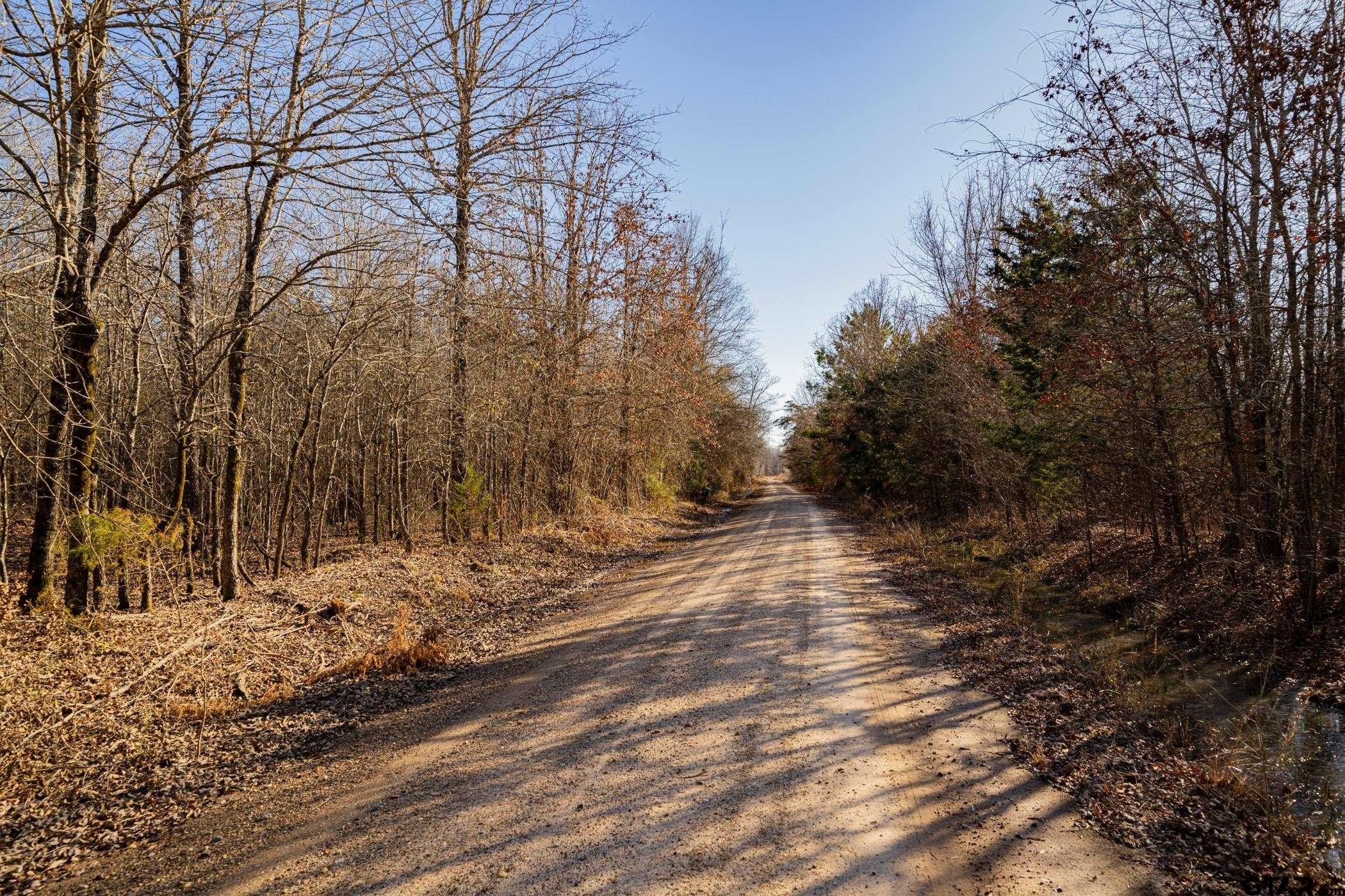 Dekalb, Texas, 75559, United States, ,Land,For Sale,1983481