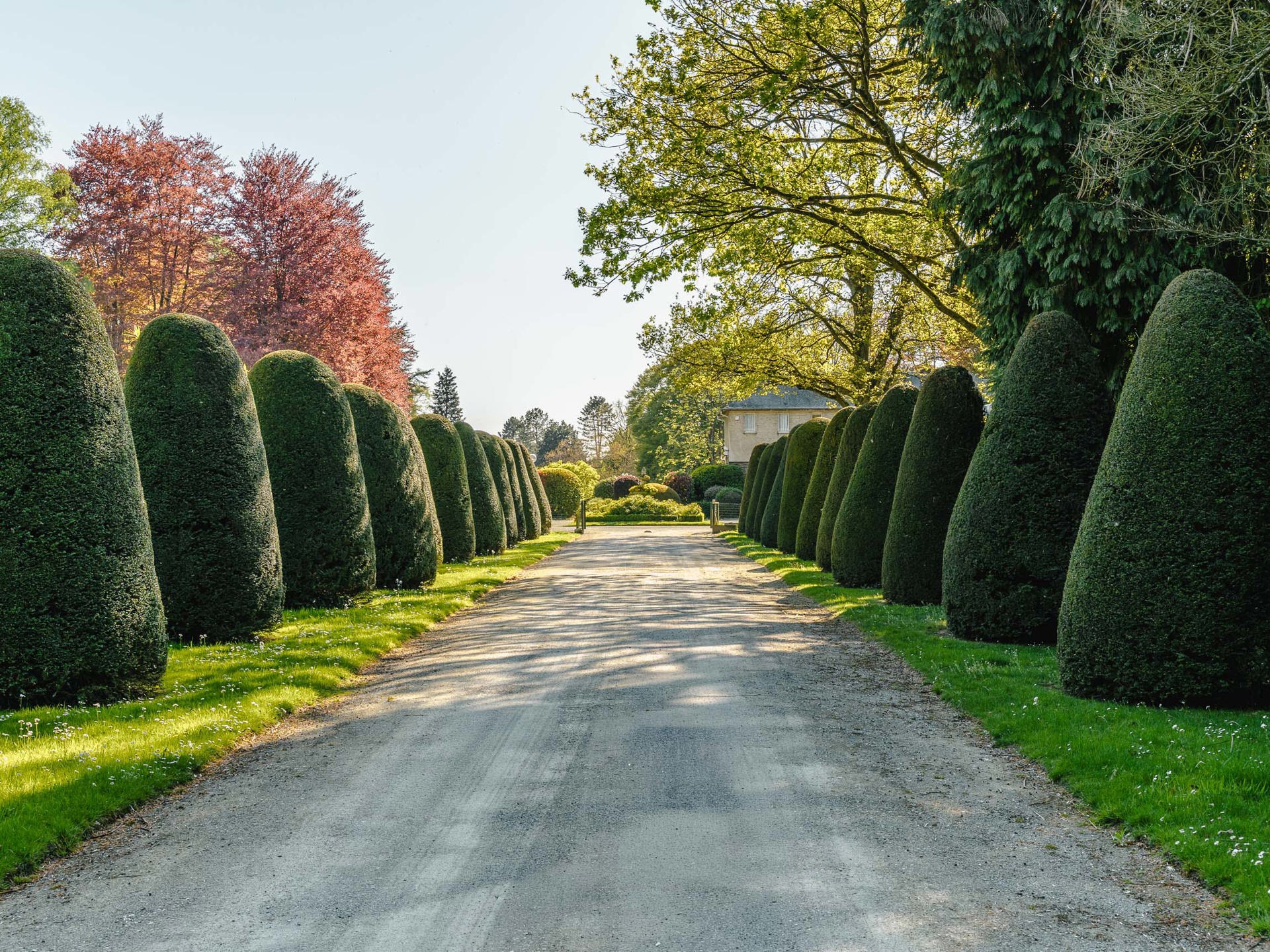  Rhode-Saint-Genèse I Forêt de Soignes - 物件實景