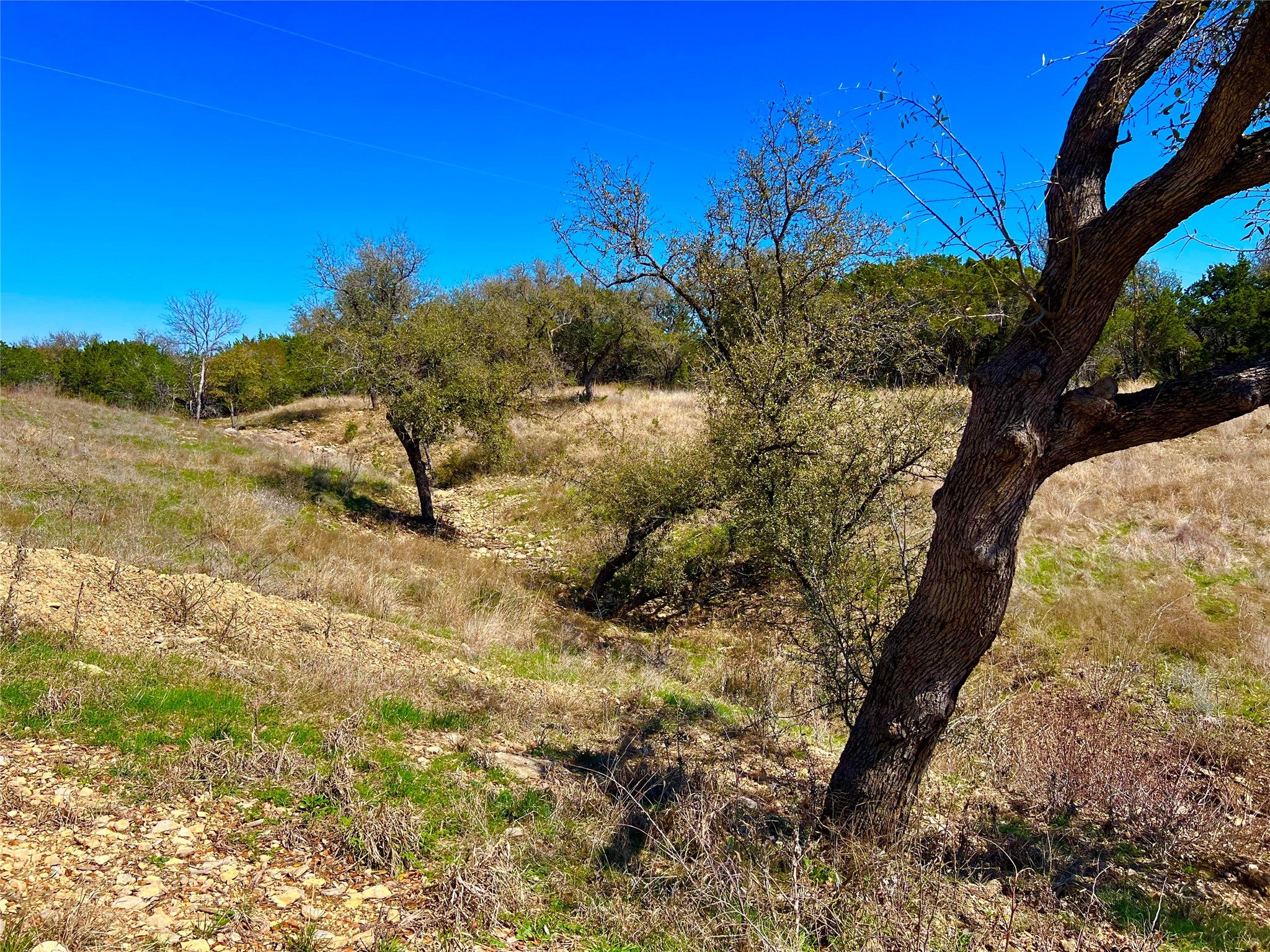 Possum Kingdom Lake, Texas, 76450, United States, ,Residential,For Sale,2030738