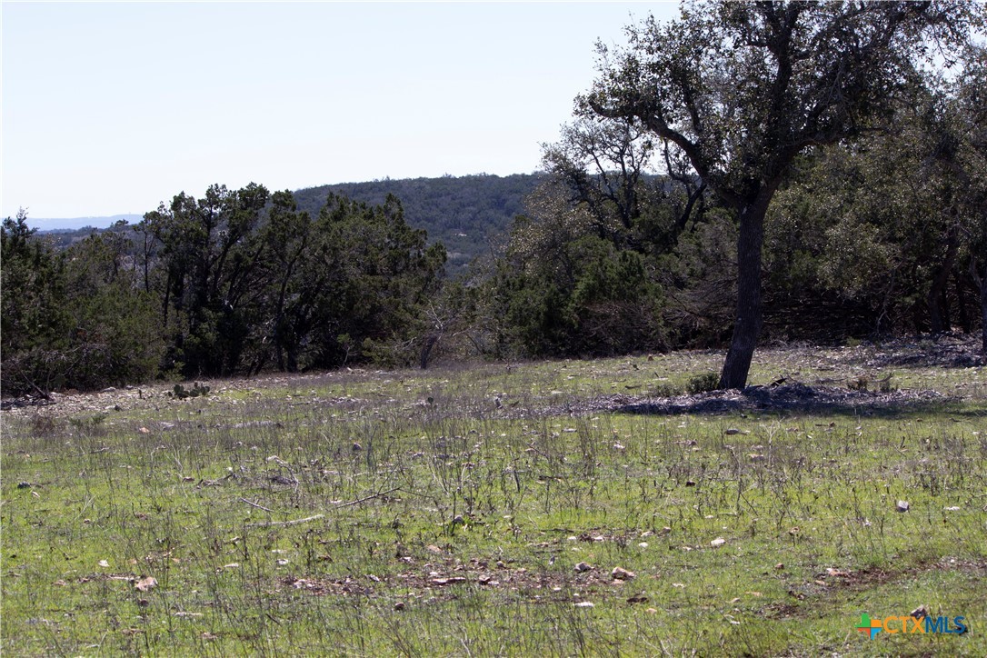 Blanco, Texas, 78606, United States, ,Land,For Sale,1877440