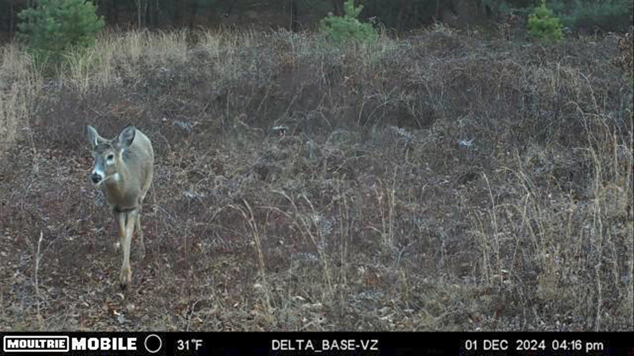 Midland, Michigan, 48640, United States, 3 Bedrooms Bedrooms, ,3 BathroomsBathrooms,Residential,For Sale,1975279