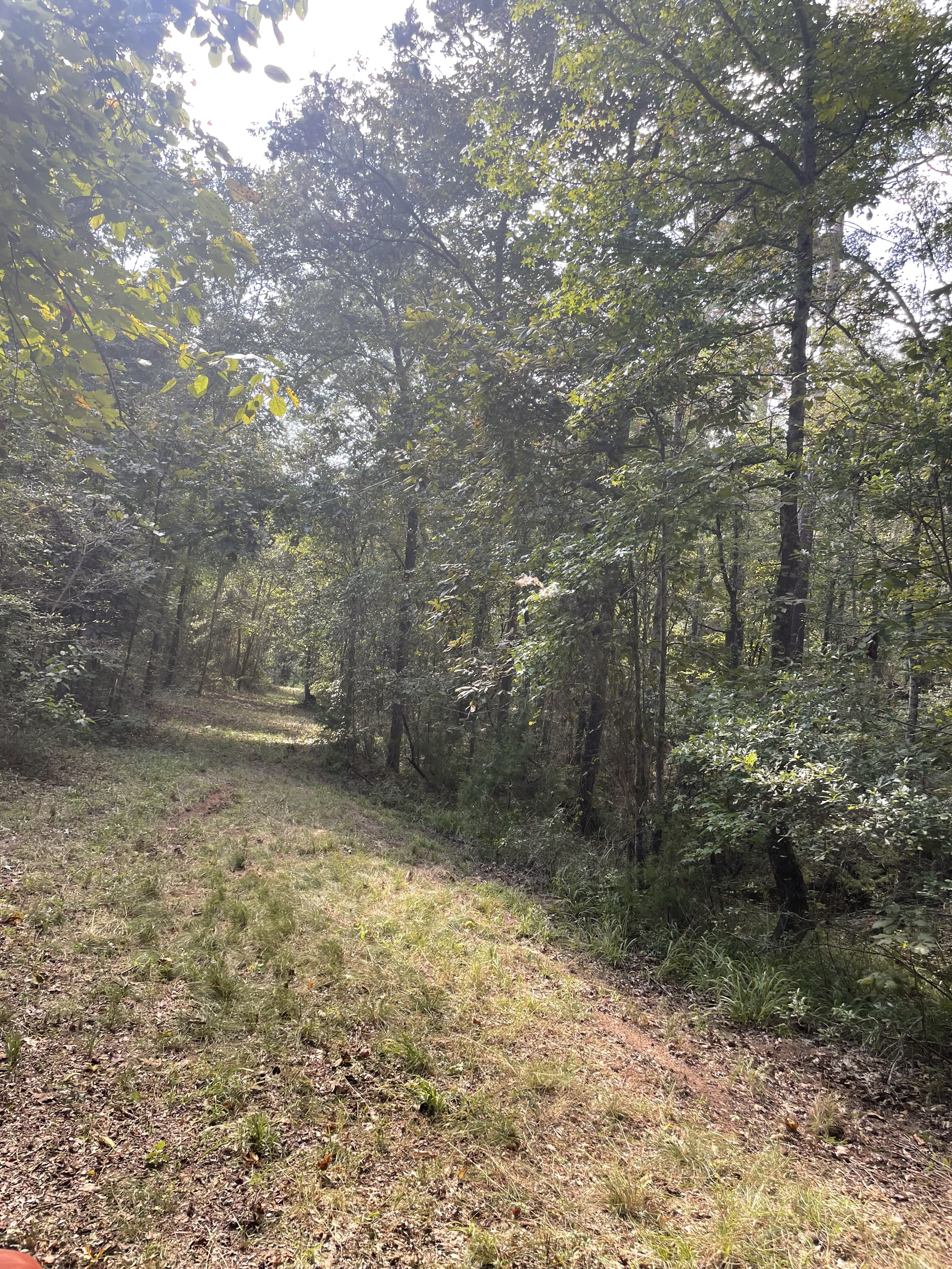 Jacksonville, Texas, 75766, United States, 4 Bedrooms Bedrooms, ,2 BathroomsBathrooms,Residential,For Sale,1974888