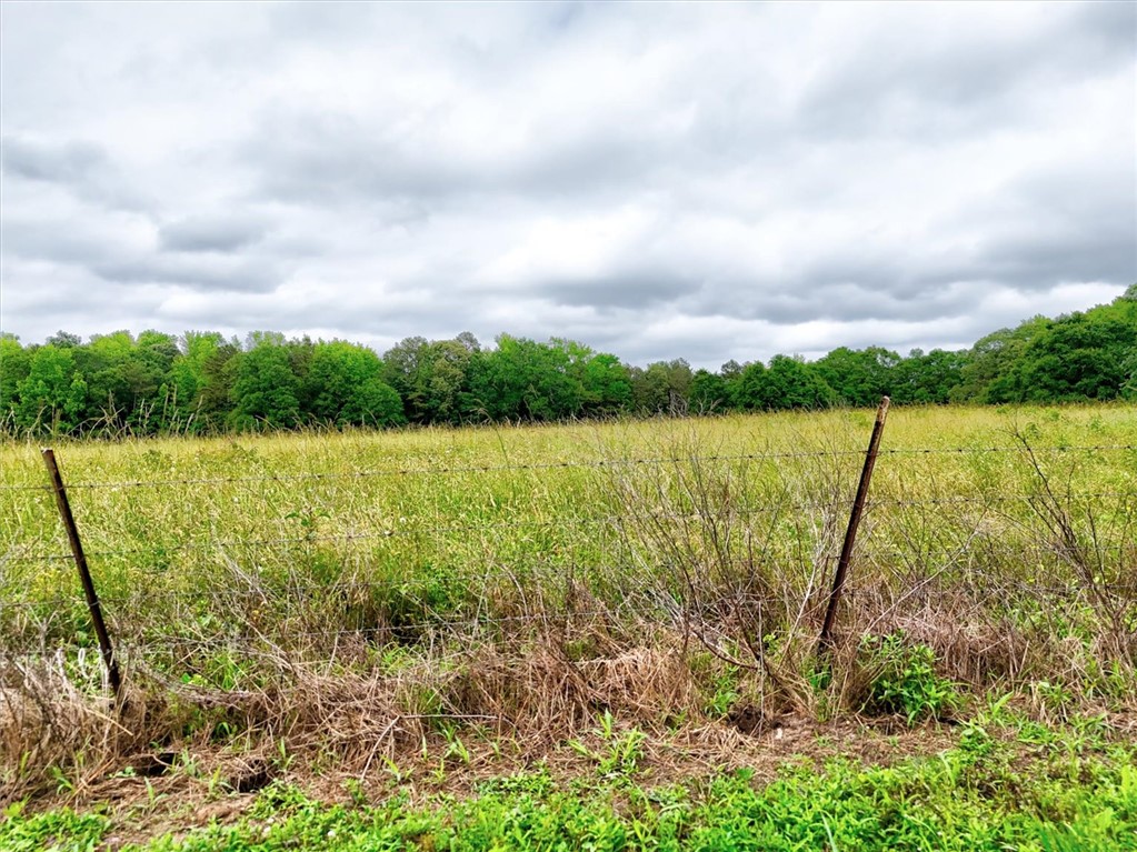 Belton, South Carolina, 29627, United States, ,Land,For Sale,1849794