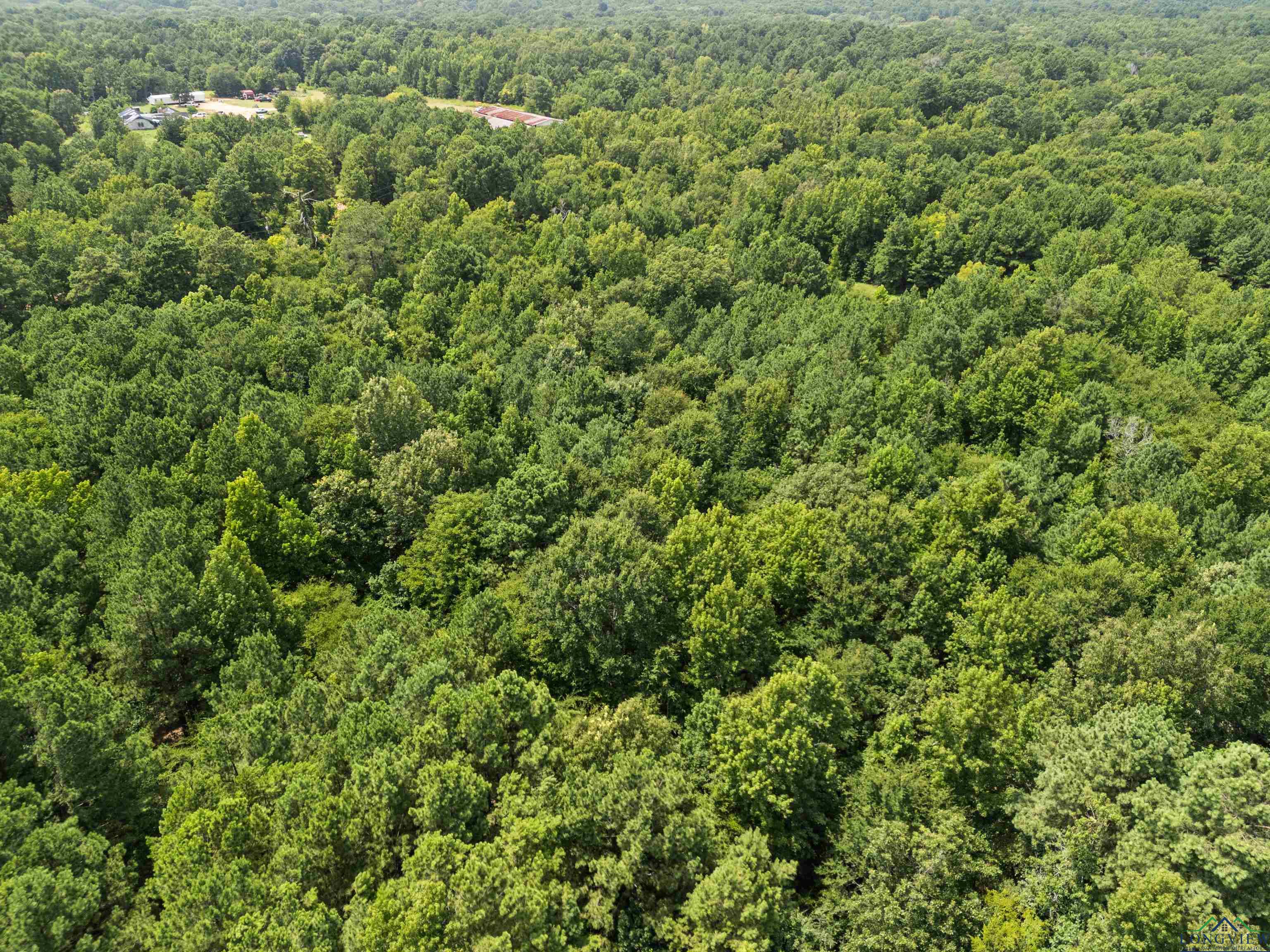 Kilgore, Texas, 75662, United States, ,Land,For Sale,1902397