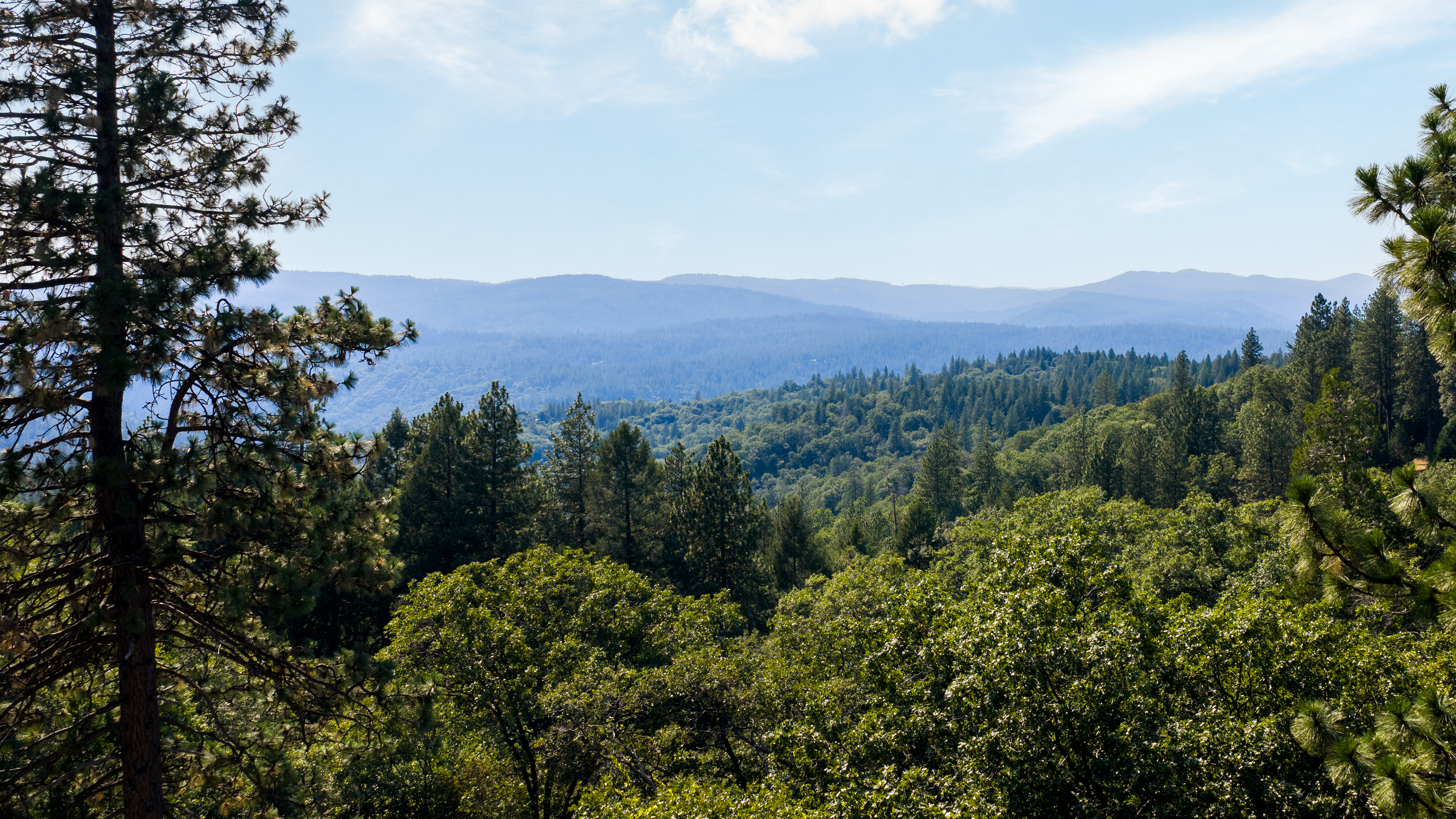  21374 Maidu Ridge Road, Nevada City, CA, 95959 - 物件實景
