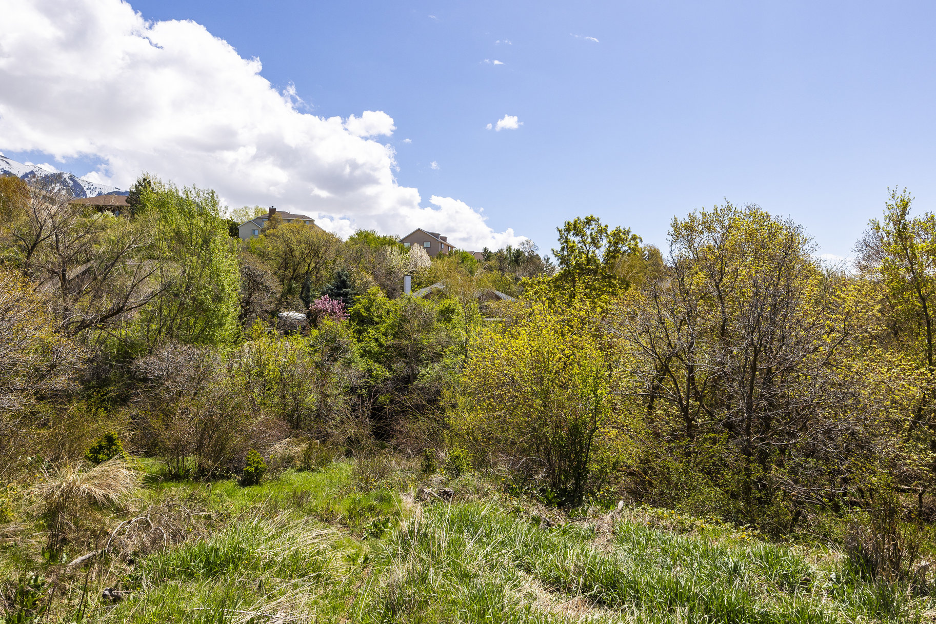  1.47 Acre Lot In East Layton With Endless Possibilities - 物件實景