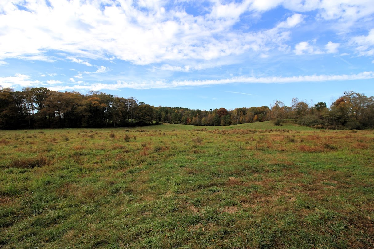 Bowdon, Georgia, 30108, United States, ,Land,For Sale,1989904
