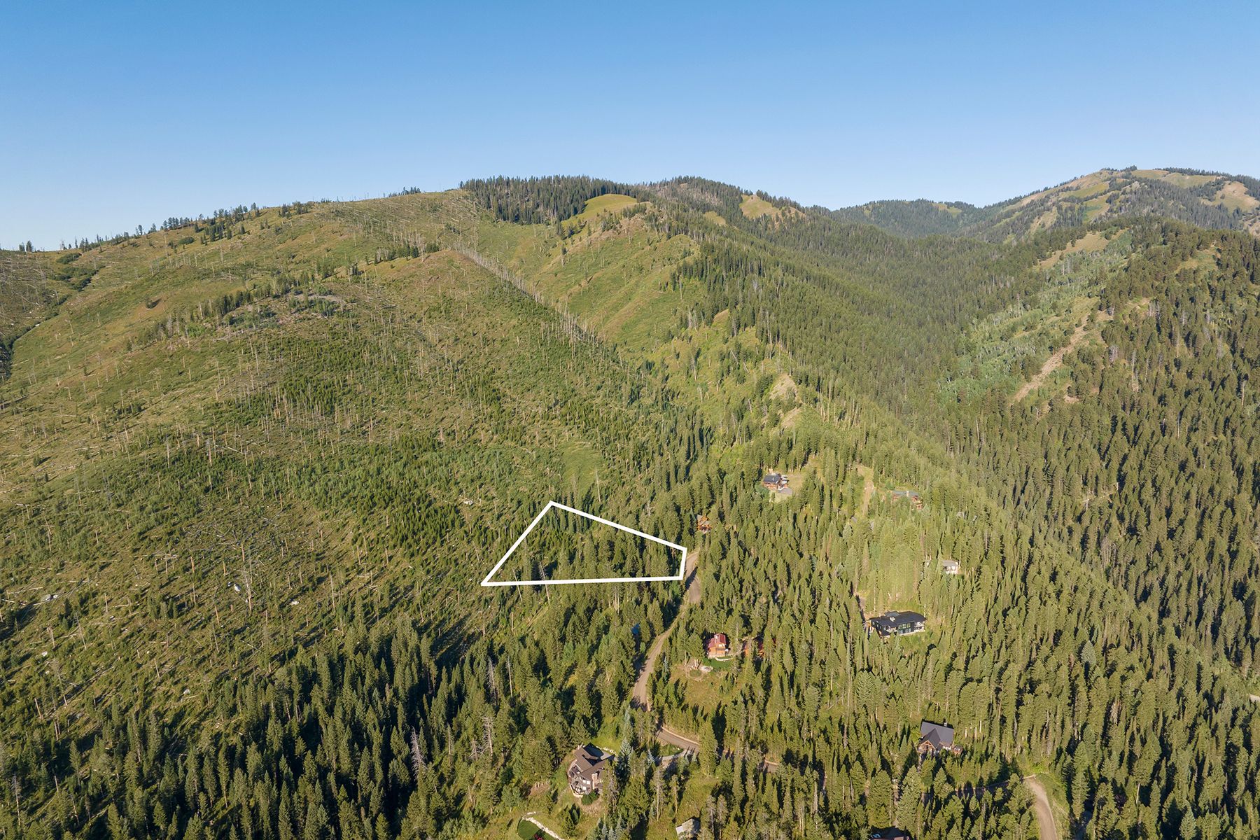  Wilson Acreage Bordering Bridger-Teton National Forest - 物件實景