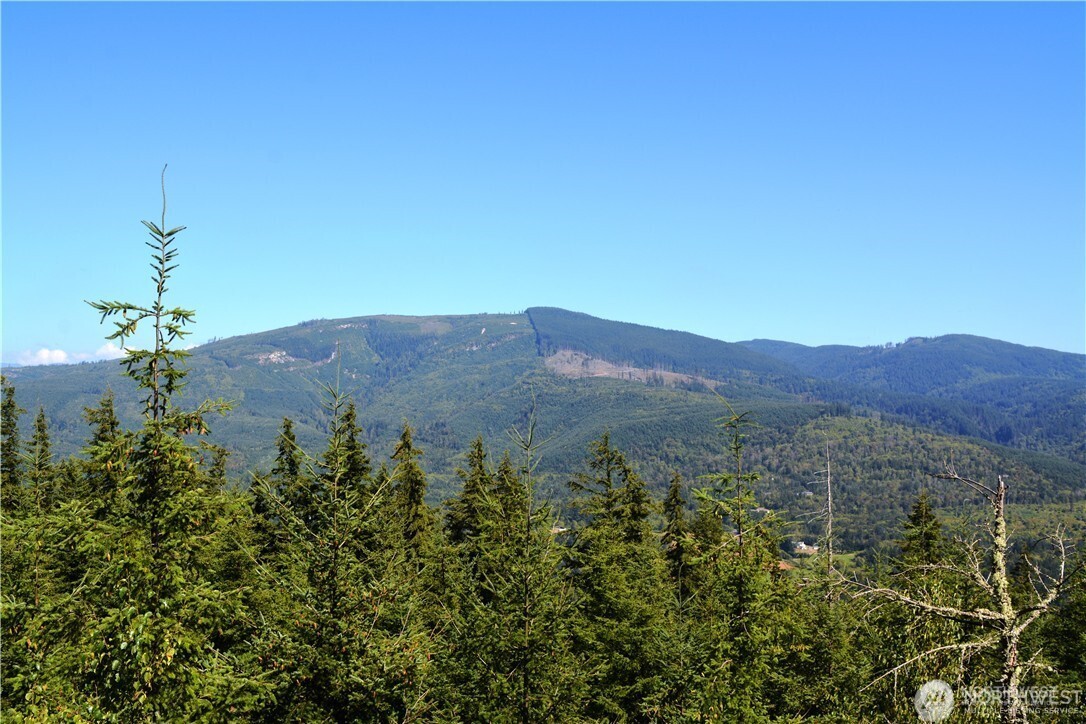 Bellingham, Washington, 98226, United States, ,Land,For Sale,1848281