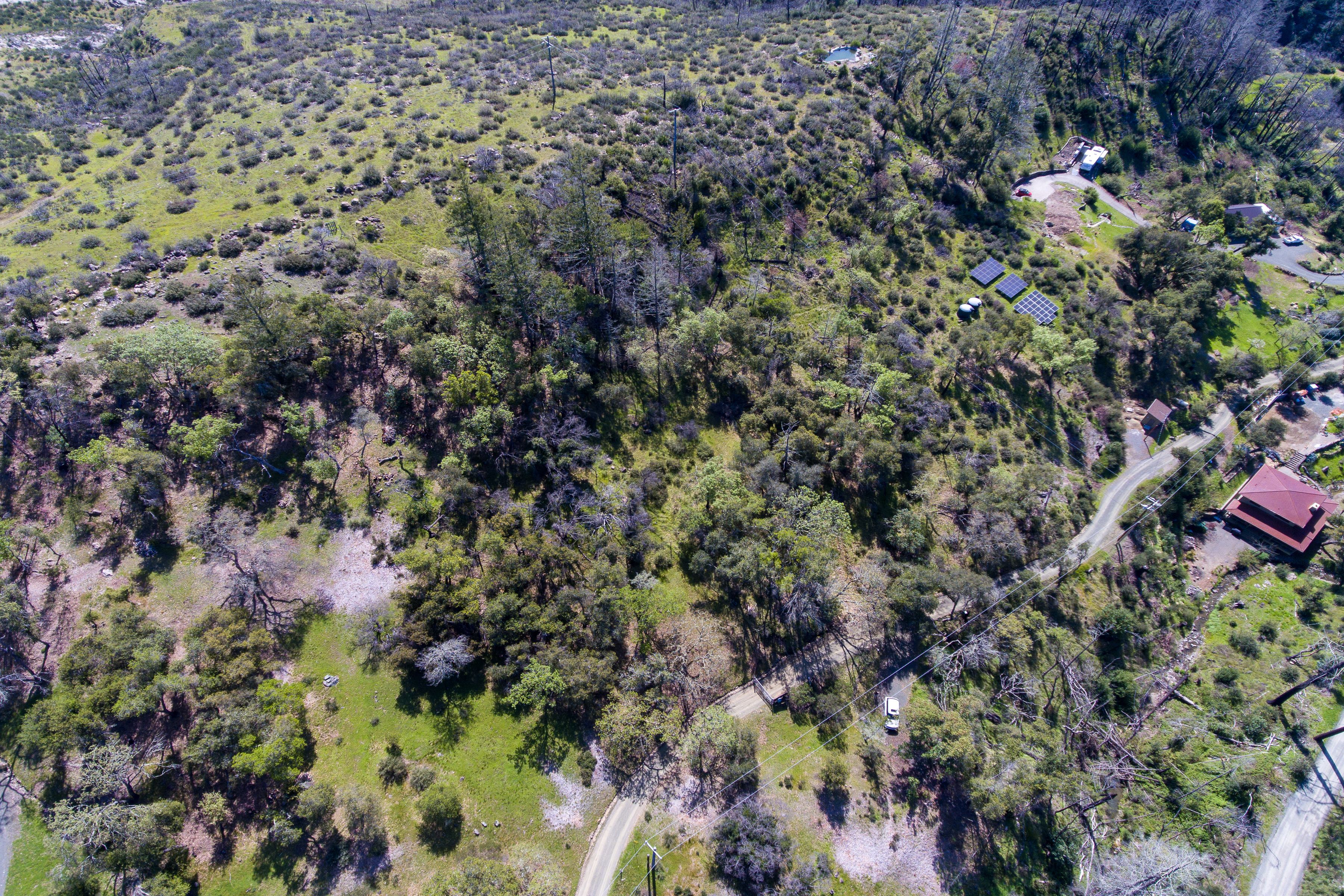  7935 St Helena Road - 物件實景
