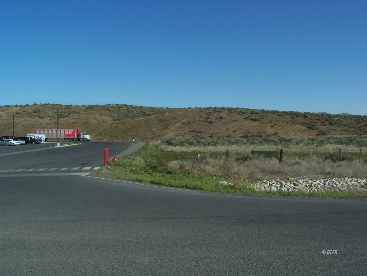Elko, Nevada, 89801, United States, ,Land,For Sale,1838764