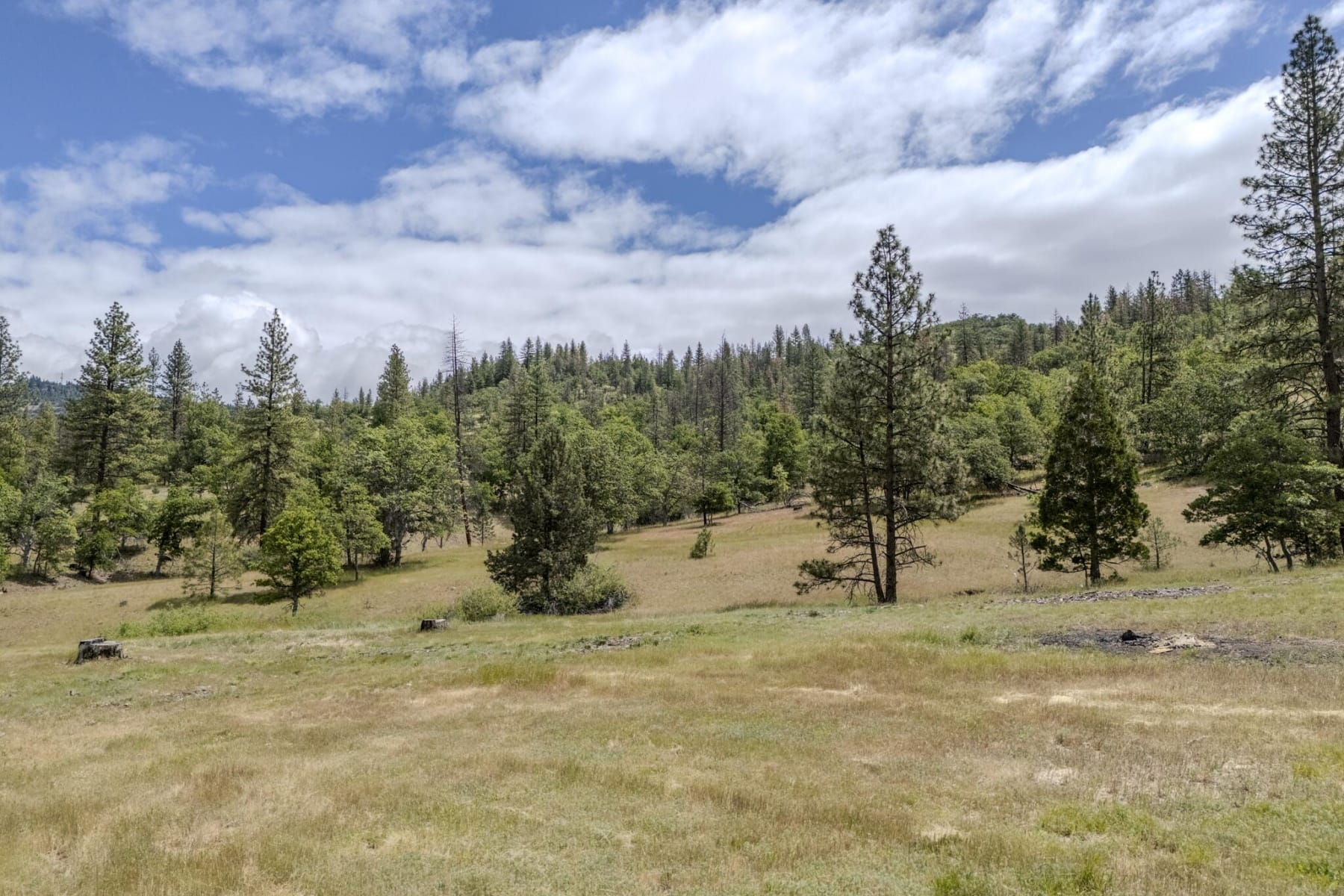  1969 Colestin Road Ashland, OR 97520 - 物件實景