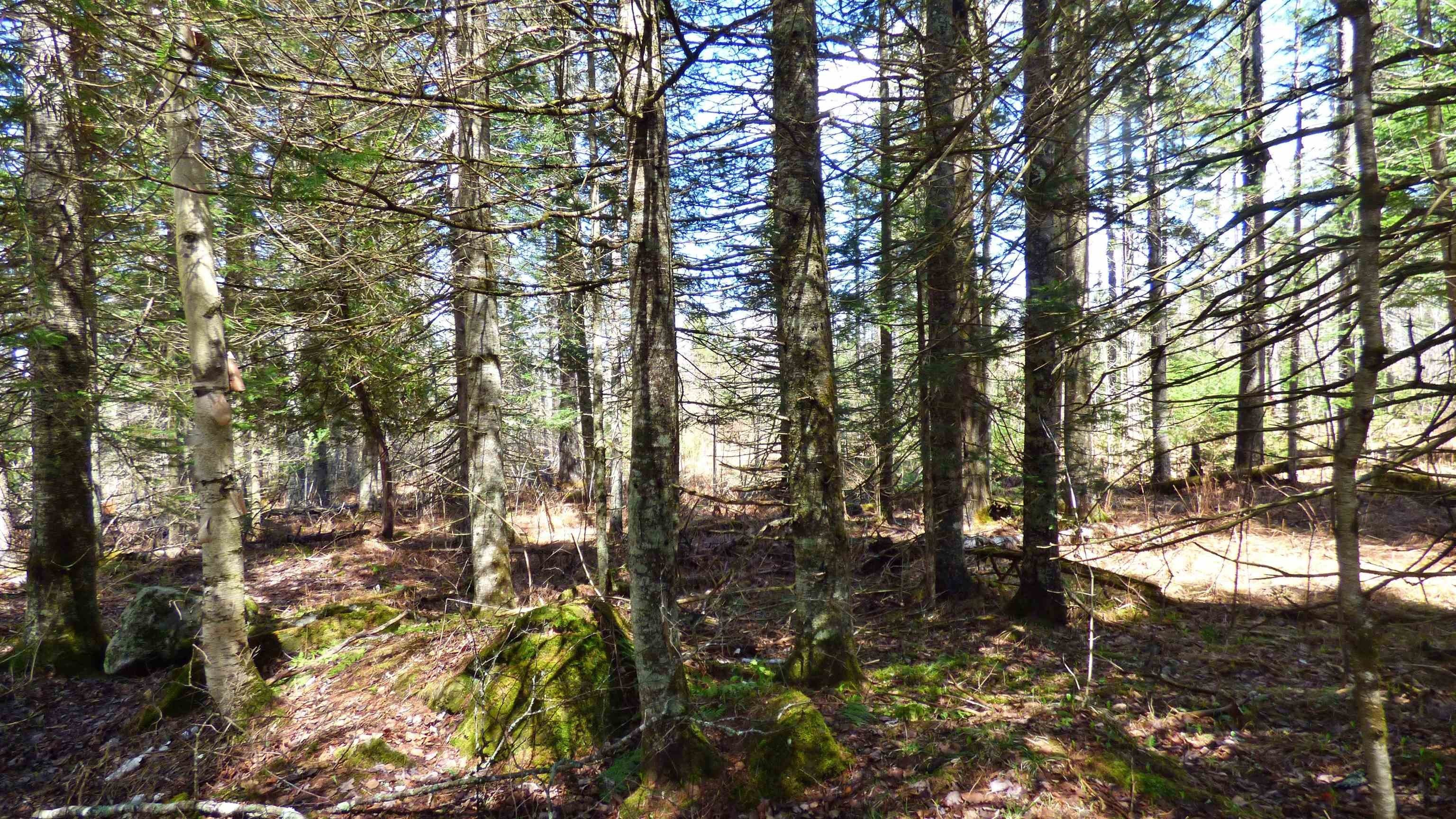 Wheelock, Vermont, 05851, United States, ,Land,For Sale,2017669