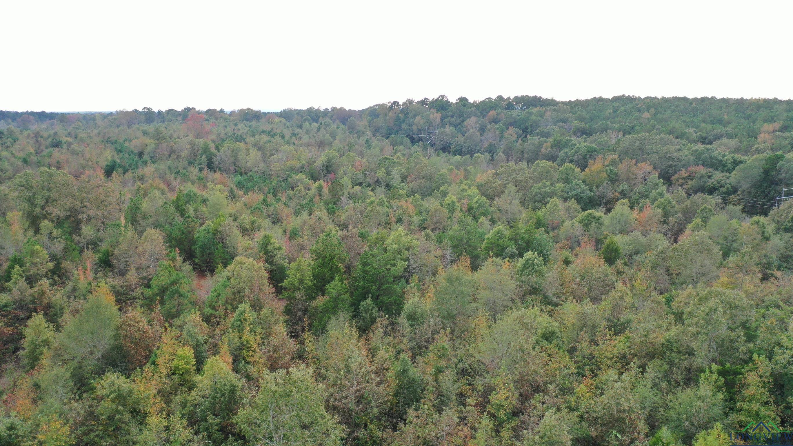 Marietta, Texas, 75566, United States, ,Land,For Sale,1977958