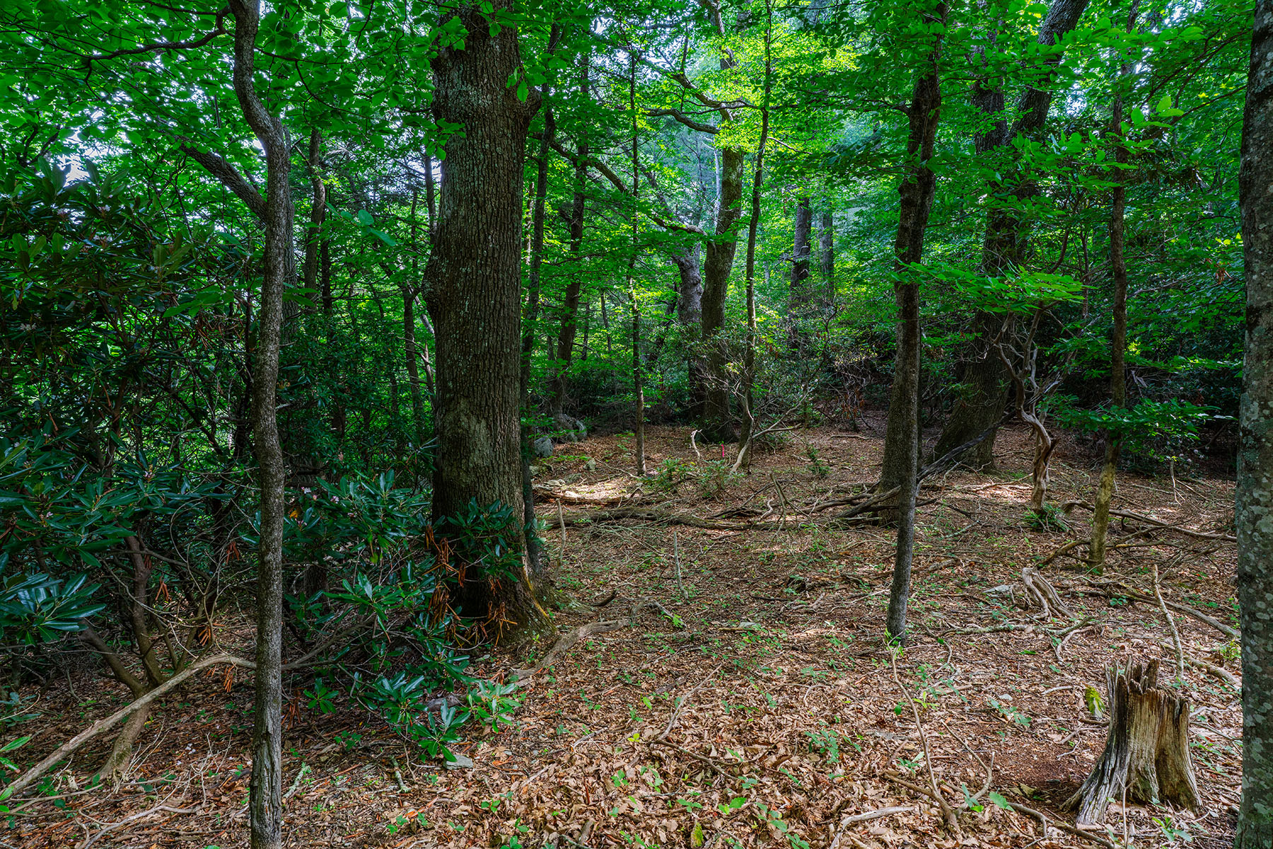  THE ORCHARDS OF MAYVIEW - BLOWING ROCK - 物件實景