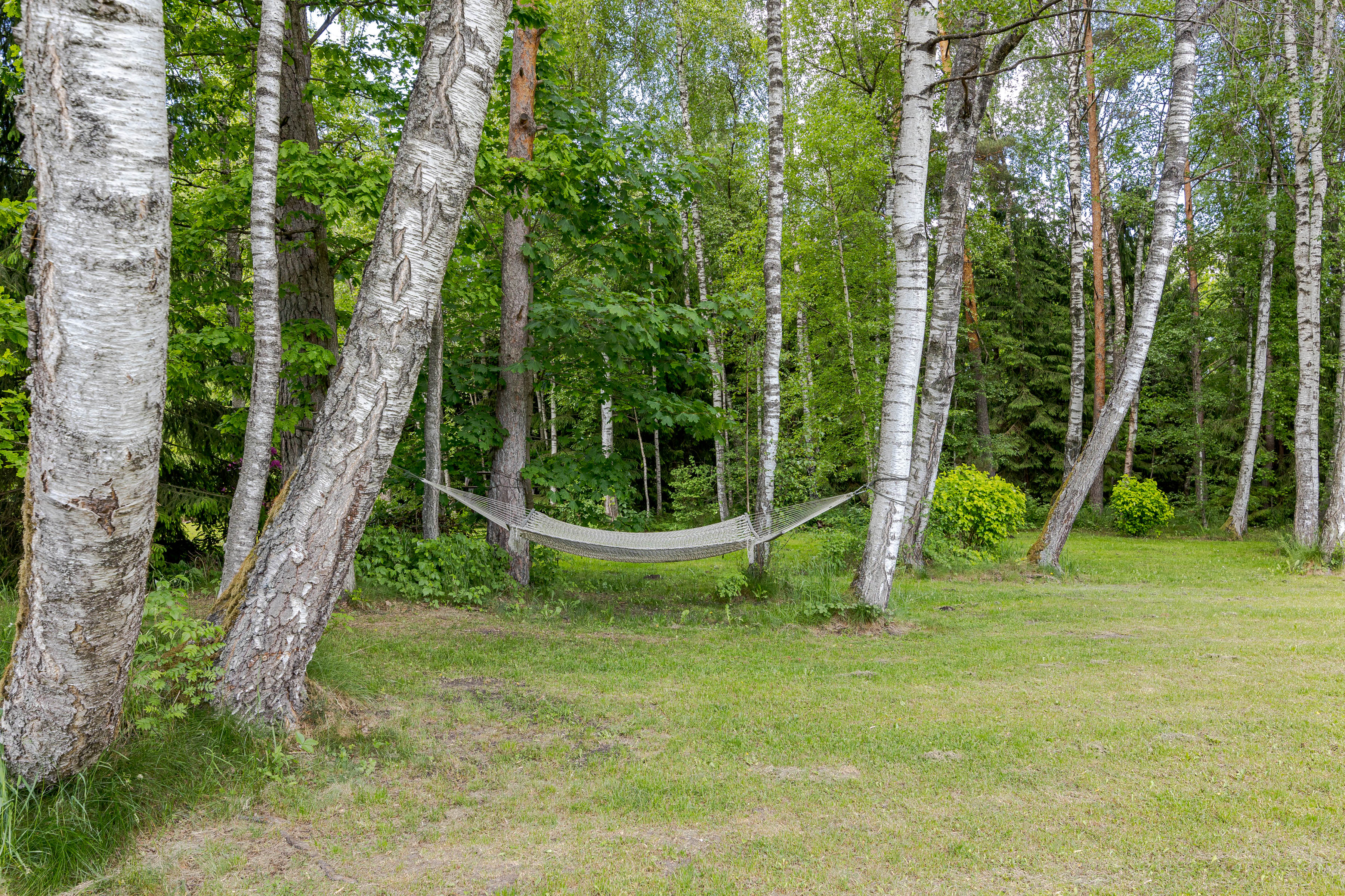  Salaspils County, Salaspils Parish, Kairosa - 物件實景