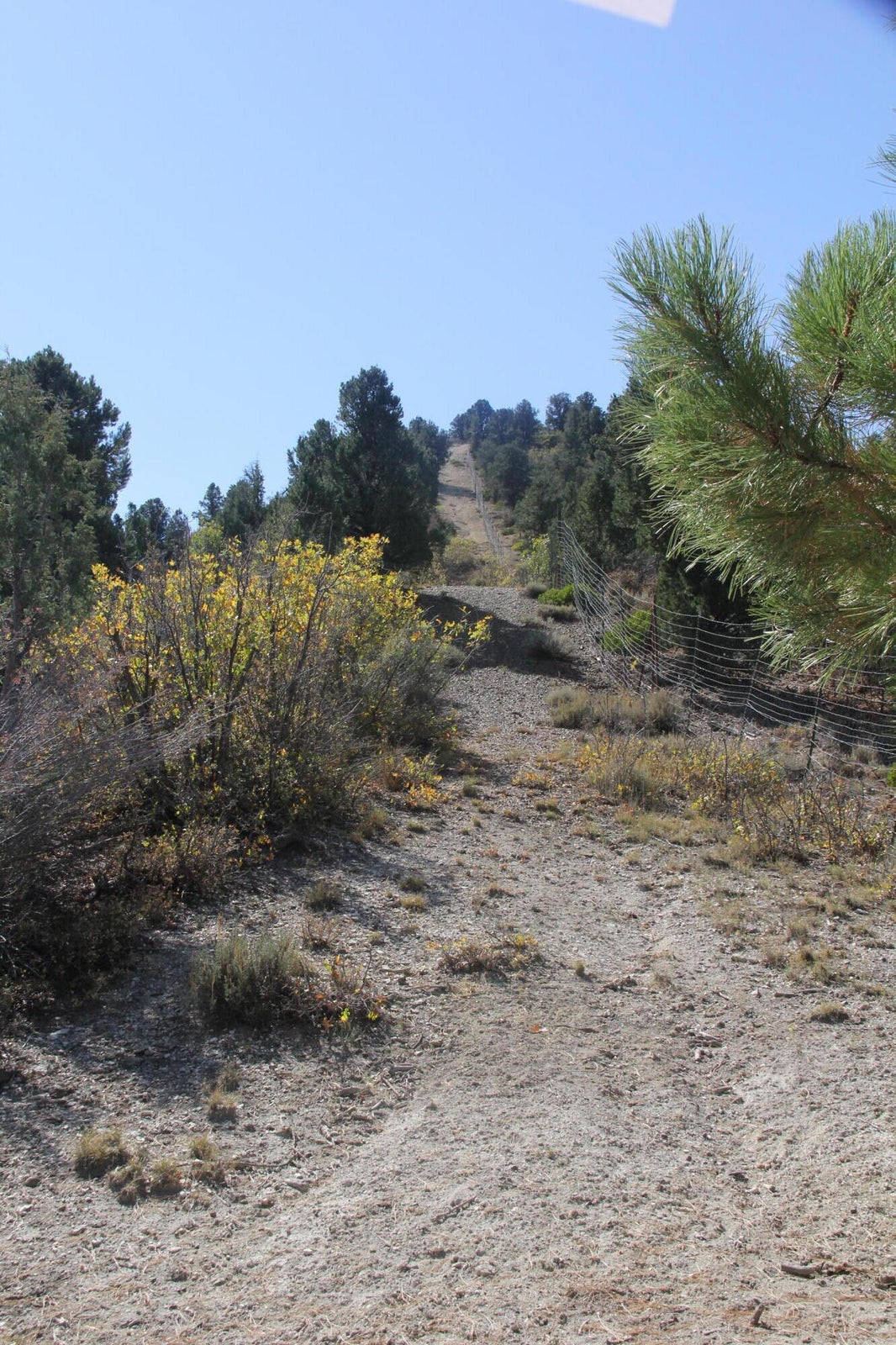 Alton, Utah, 84710, United States, ,Land,For Sale,1743829