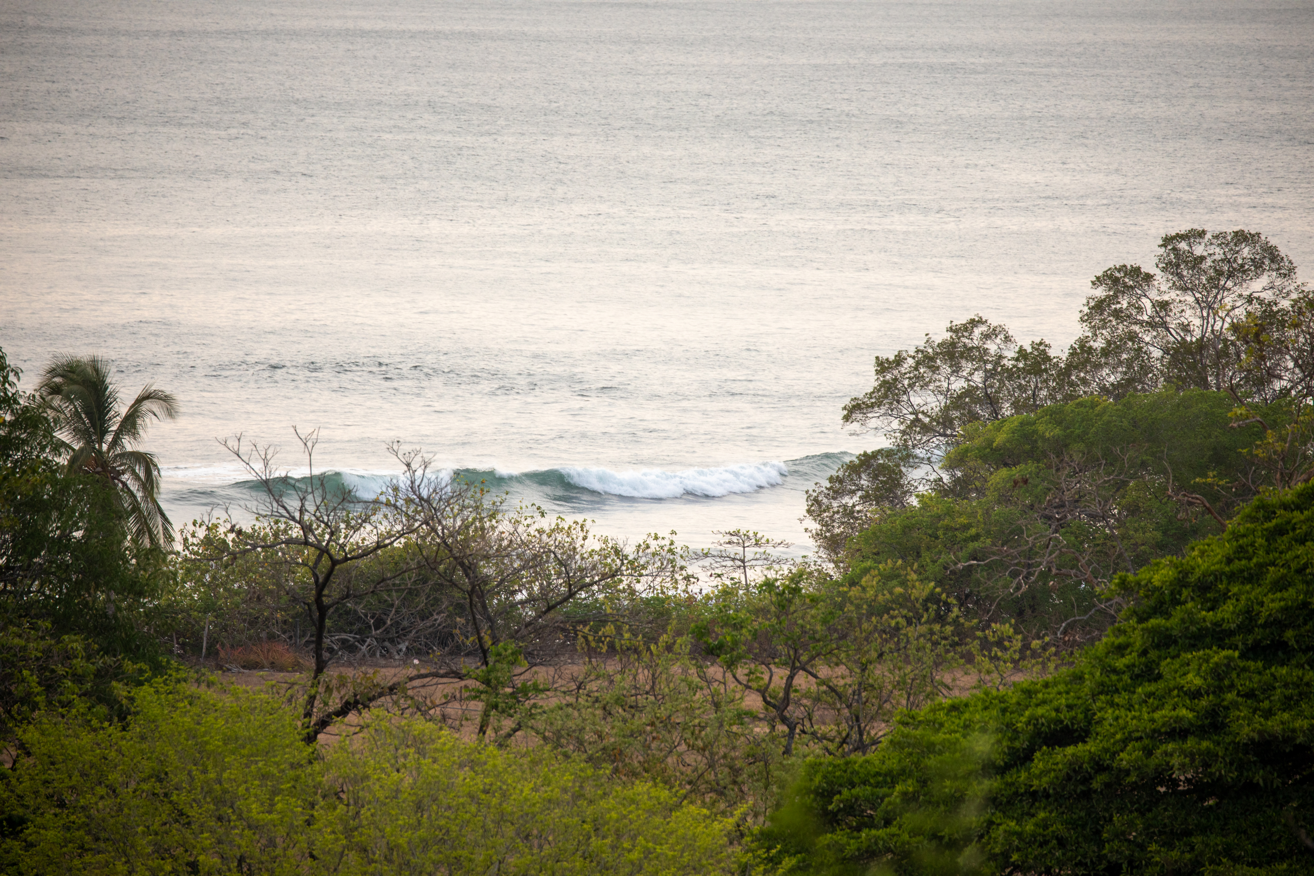 Nosara, Guanacaste, CR, 16 Bedrooms Bedrooms, ,9 BathroomsBathrooms,Residential,For Sale,1587974