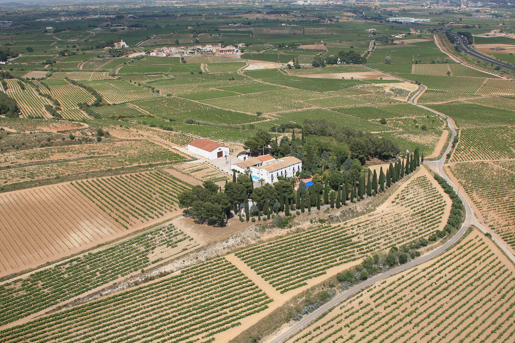  Historic Winery Estate with Vineyards in Penedes for Sale - 物件實景