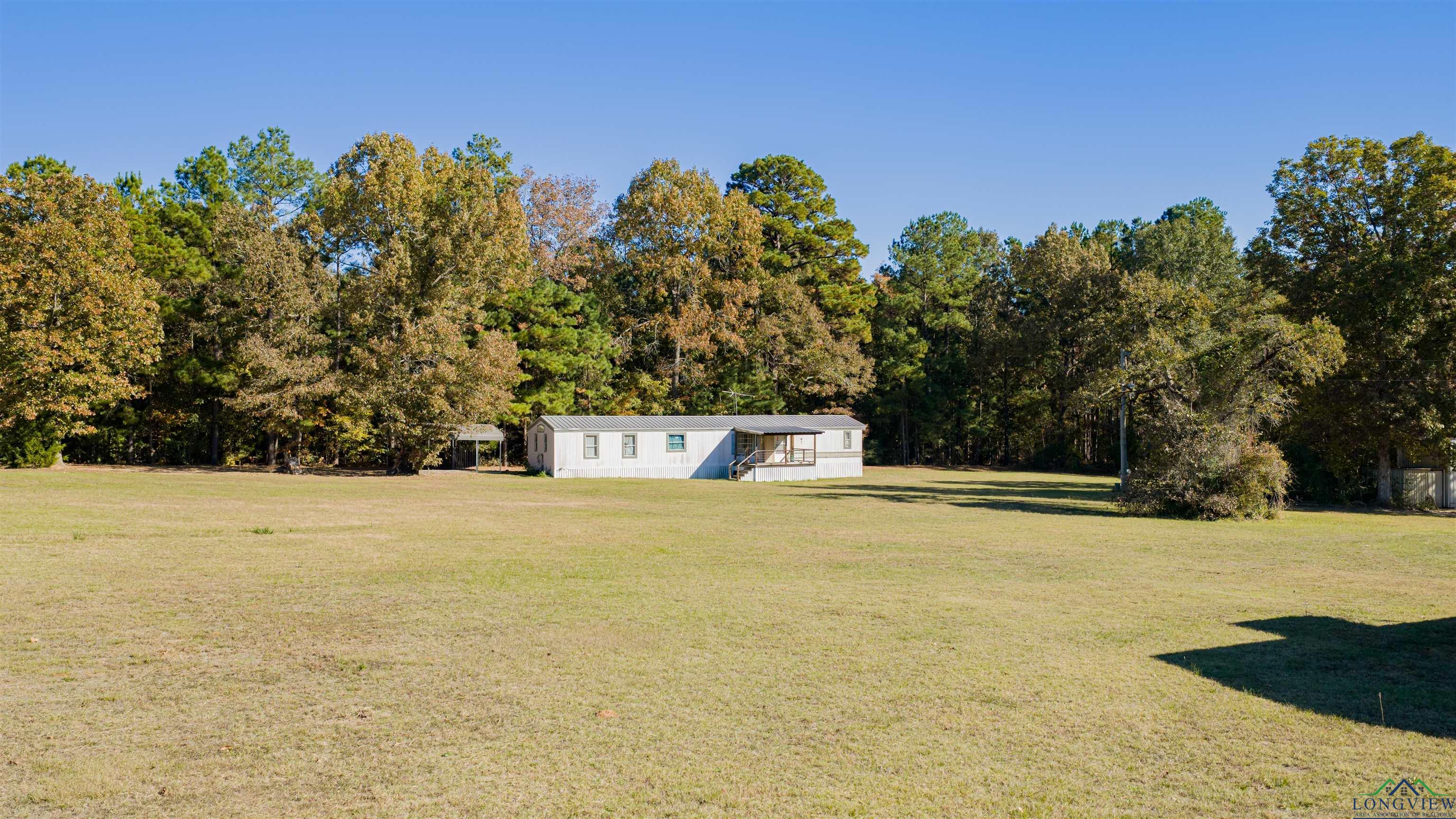 Diana, Texas, 75640, United States, ,Residential,For Sale,1993396