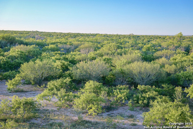 Beeville, Texas, 78102, United States, ,Land,For Sale,1942121