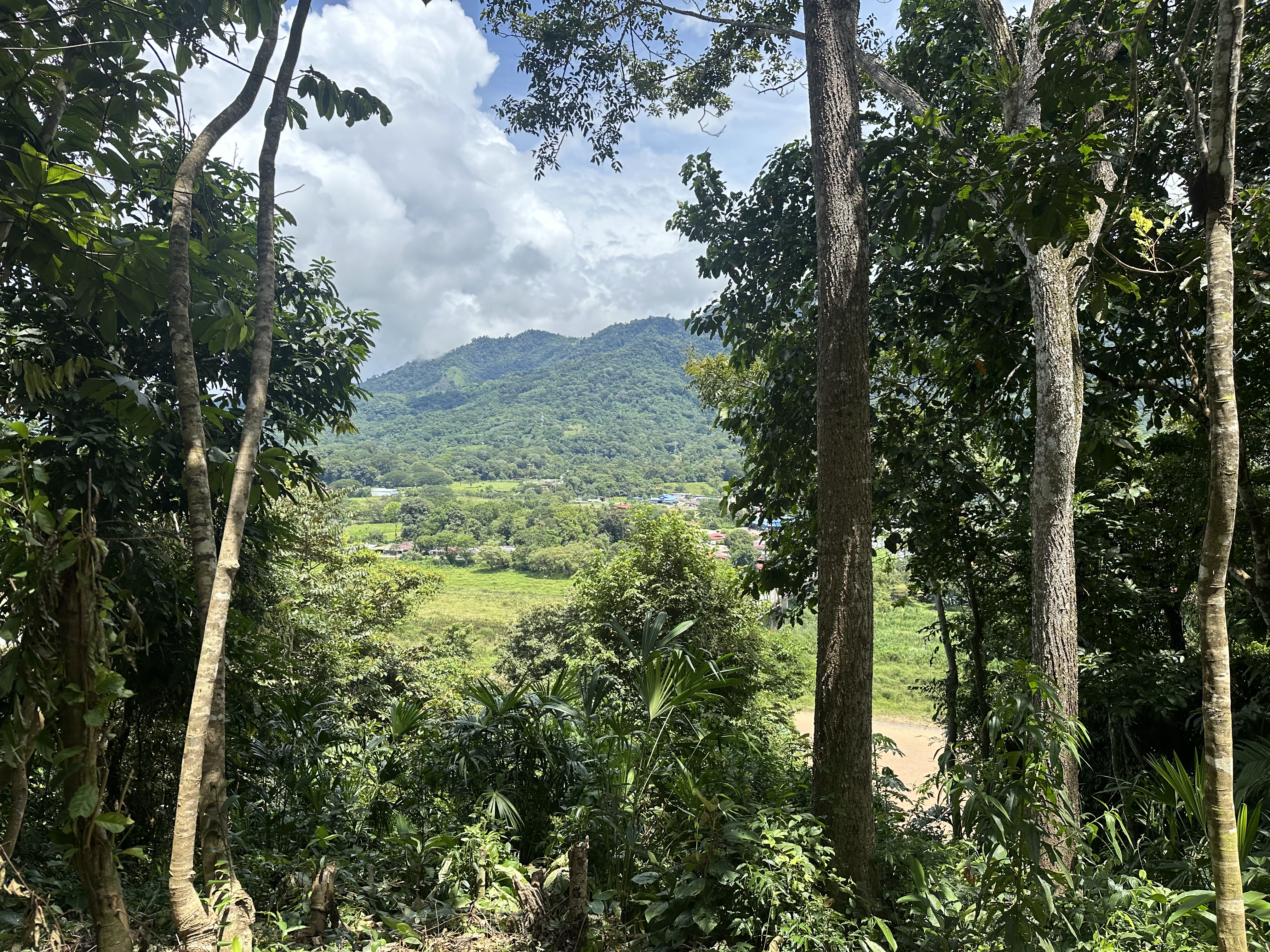 Palmar Norte, Palmar, Puntarenas, CR, ,Land,For Sale,Palmar Norte,1667866