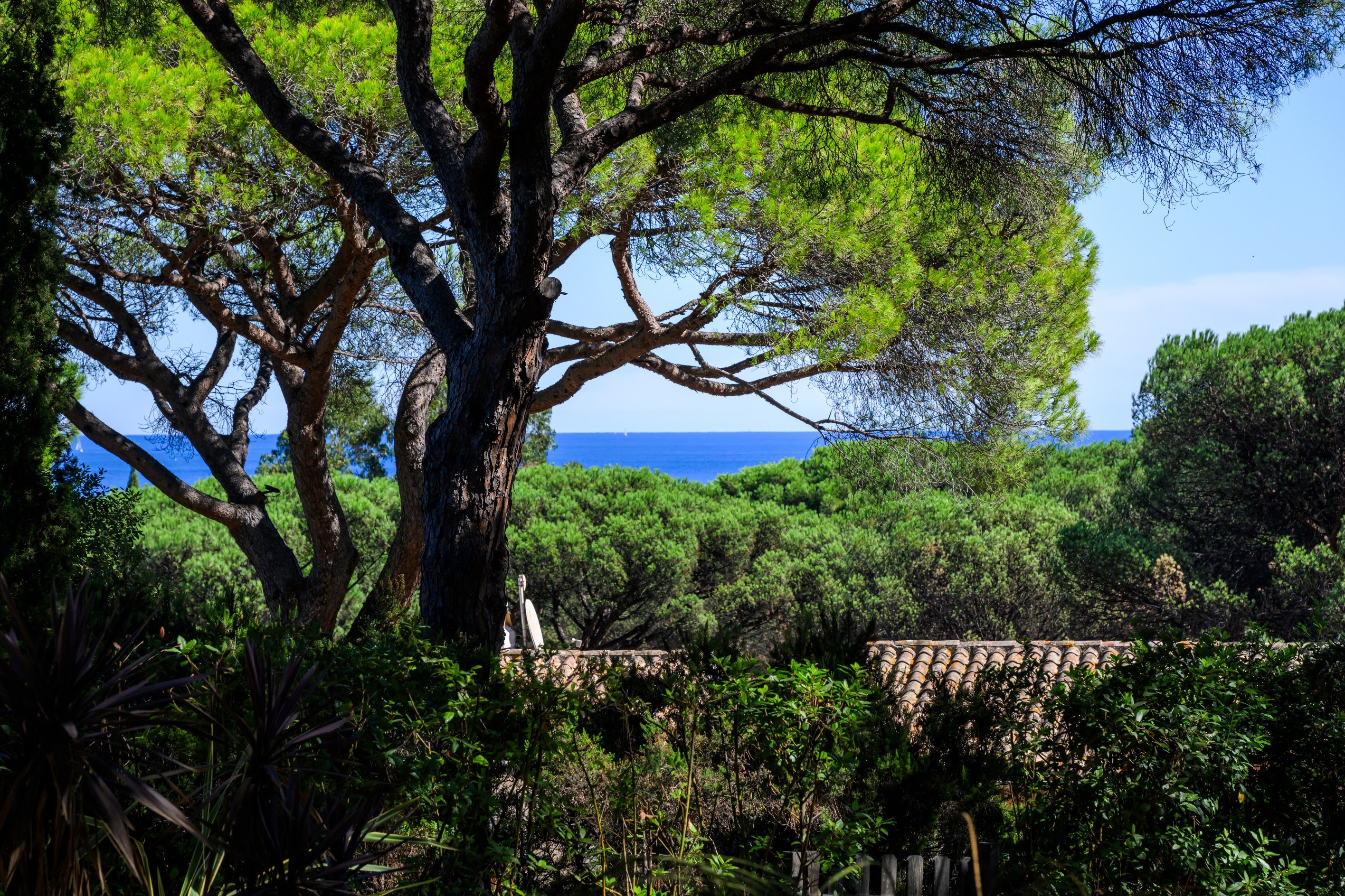  Exclusive house in Saint-Tropez, close to Pampelonne beaches, secure residence - 物件實景