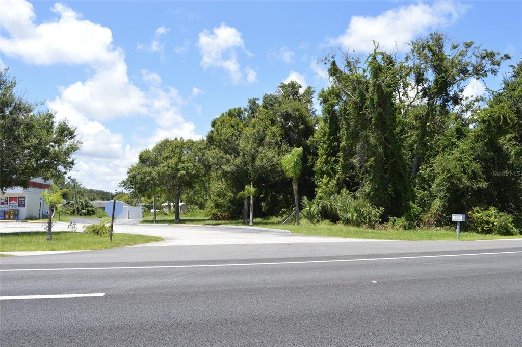 Edgewater, Florida, 32141, United States, ,Land,For Sale,1723256