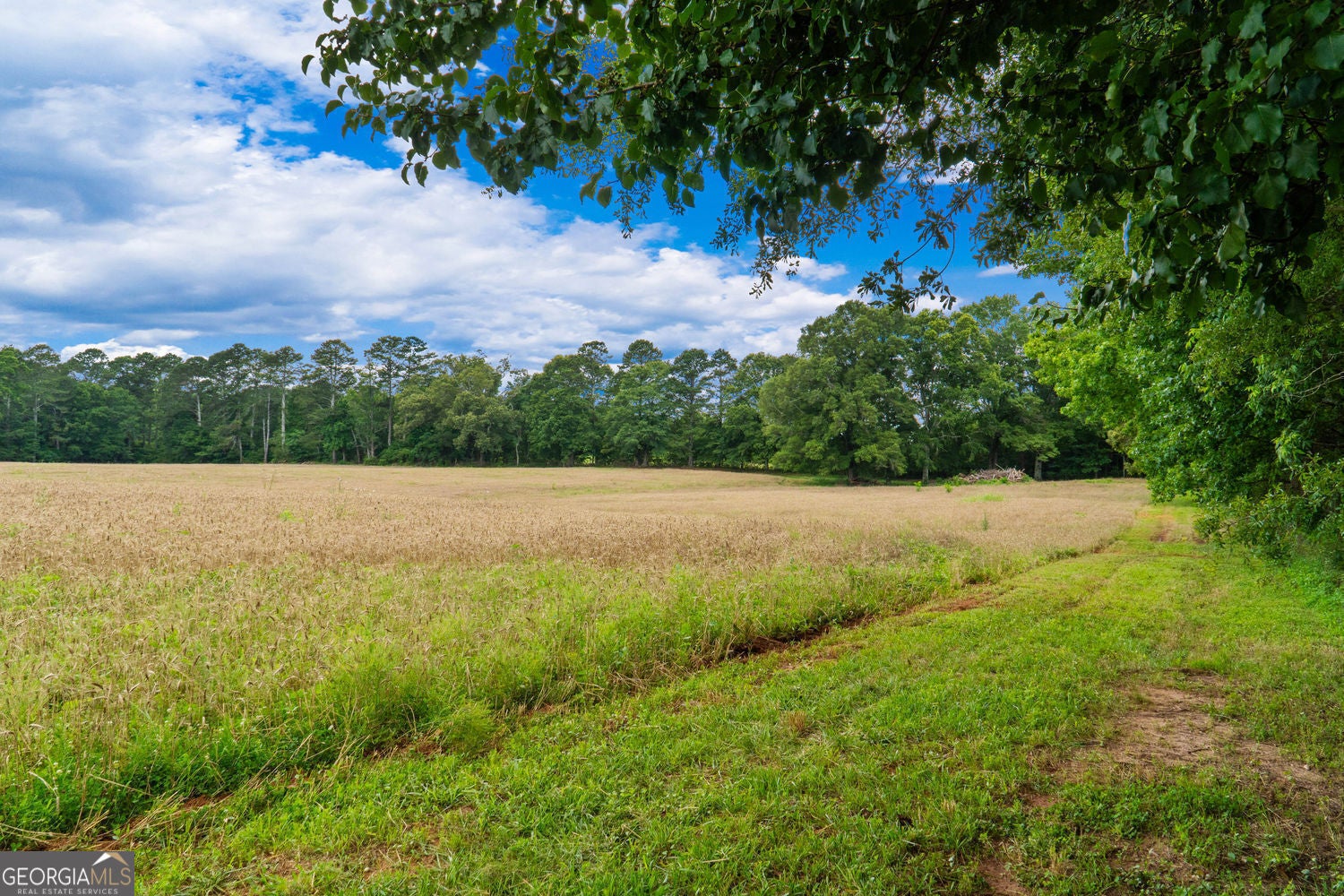 Social Circle, Georgia, 30025, United States, ,Residential,For Sale,1867942