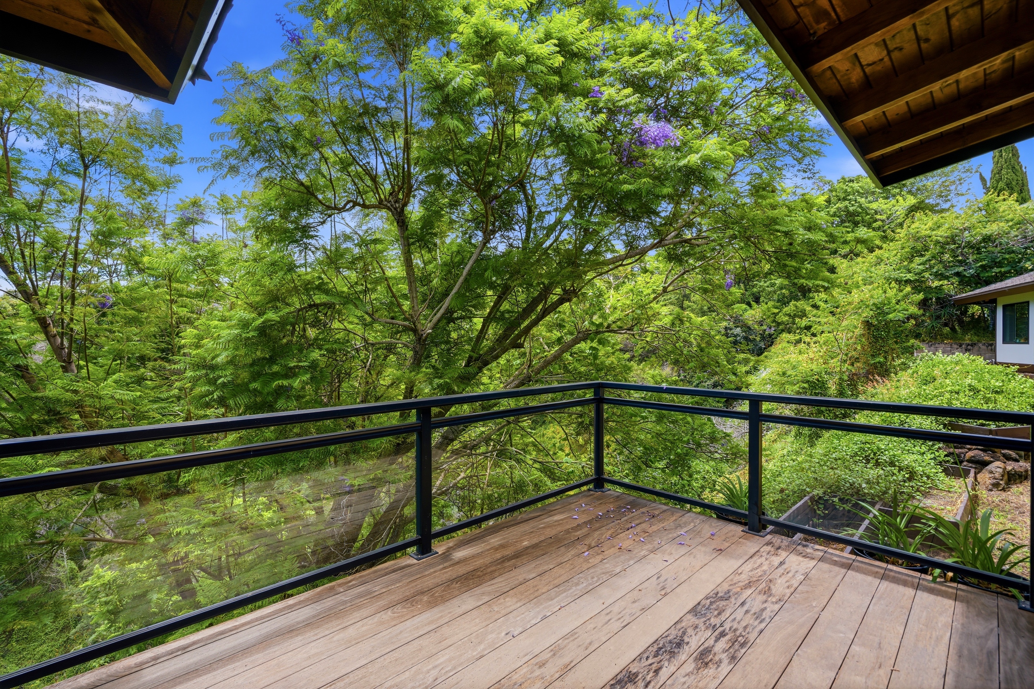  Architectural Kula Estate with Panoramic Views and Cottage - 物件實景