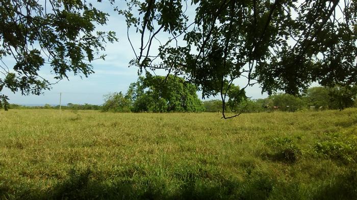 Sosua, DO, ,Land,For Sale,1622583