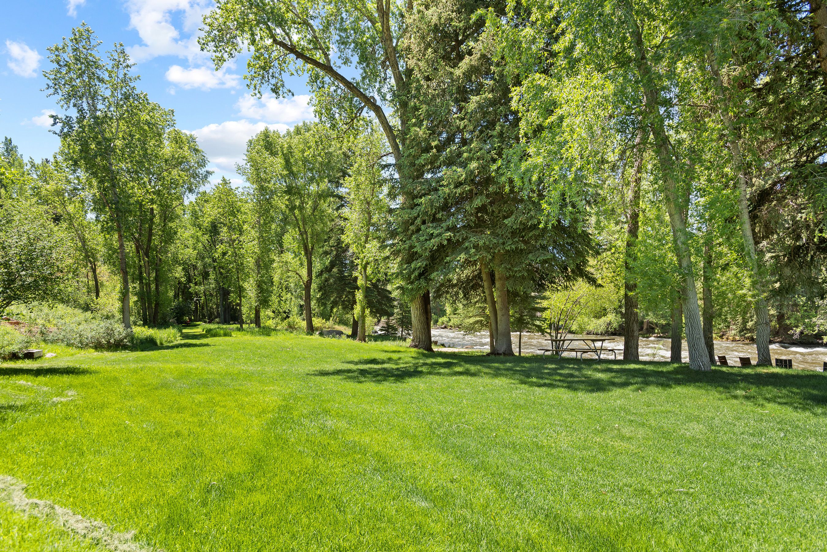  Sanctuary on The Roaring Fork River - 物件實景