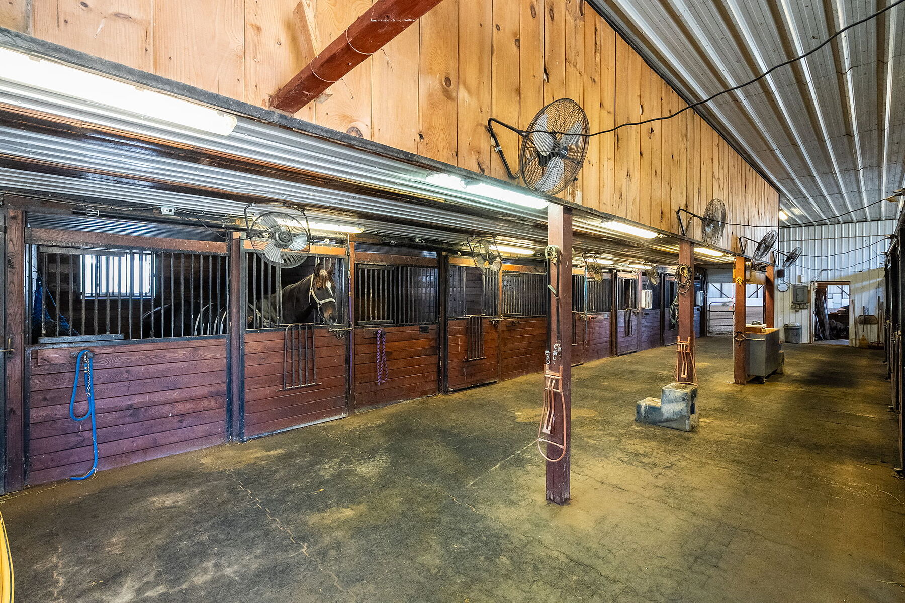  Premier Equestrian Property - 物件實景